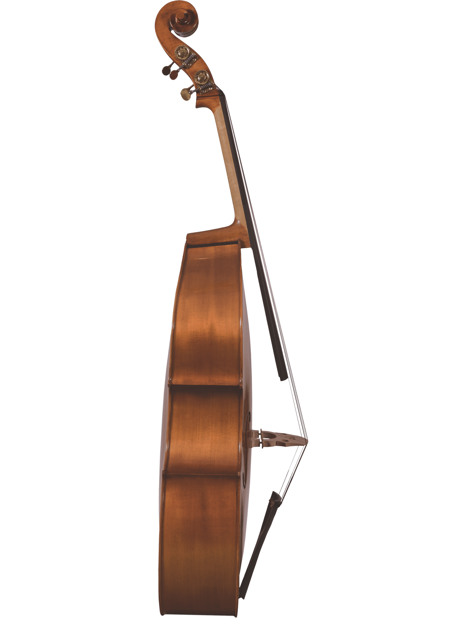 Student Bass – Canzona 300 Caprice - AAA Band Instrument Rentals