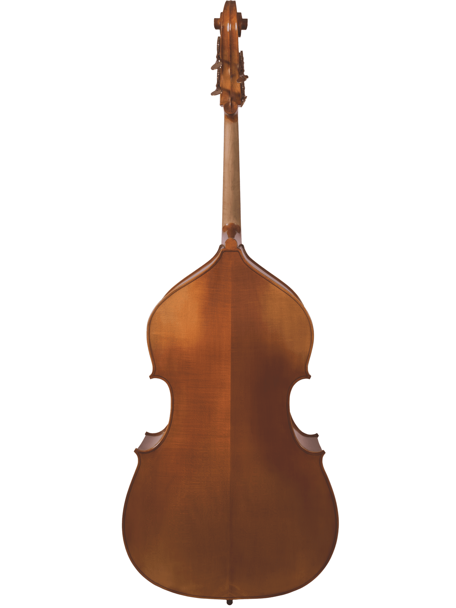 Student Bass – Canzona 300 Caprice - AAA Band Instrument Rentals