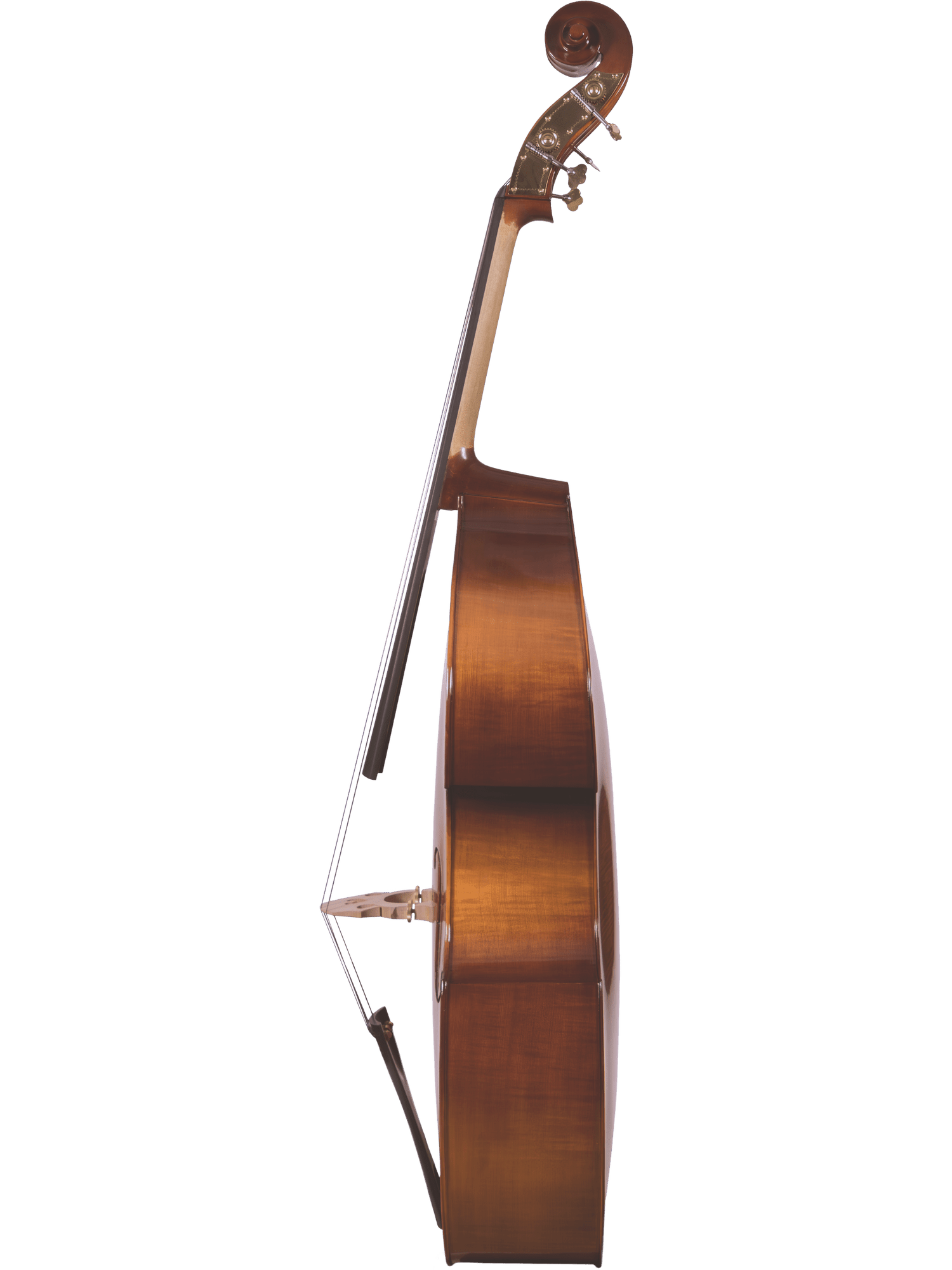 Student Bass Outfit – Canzona 200 Sonata - AAA Band Instrument Rentals