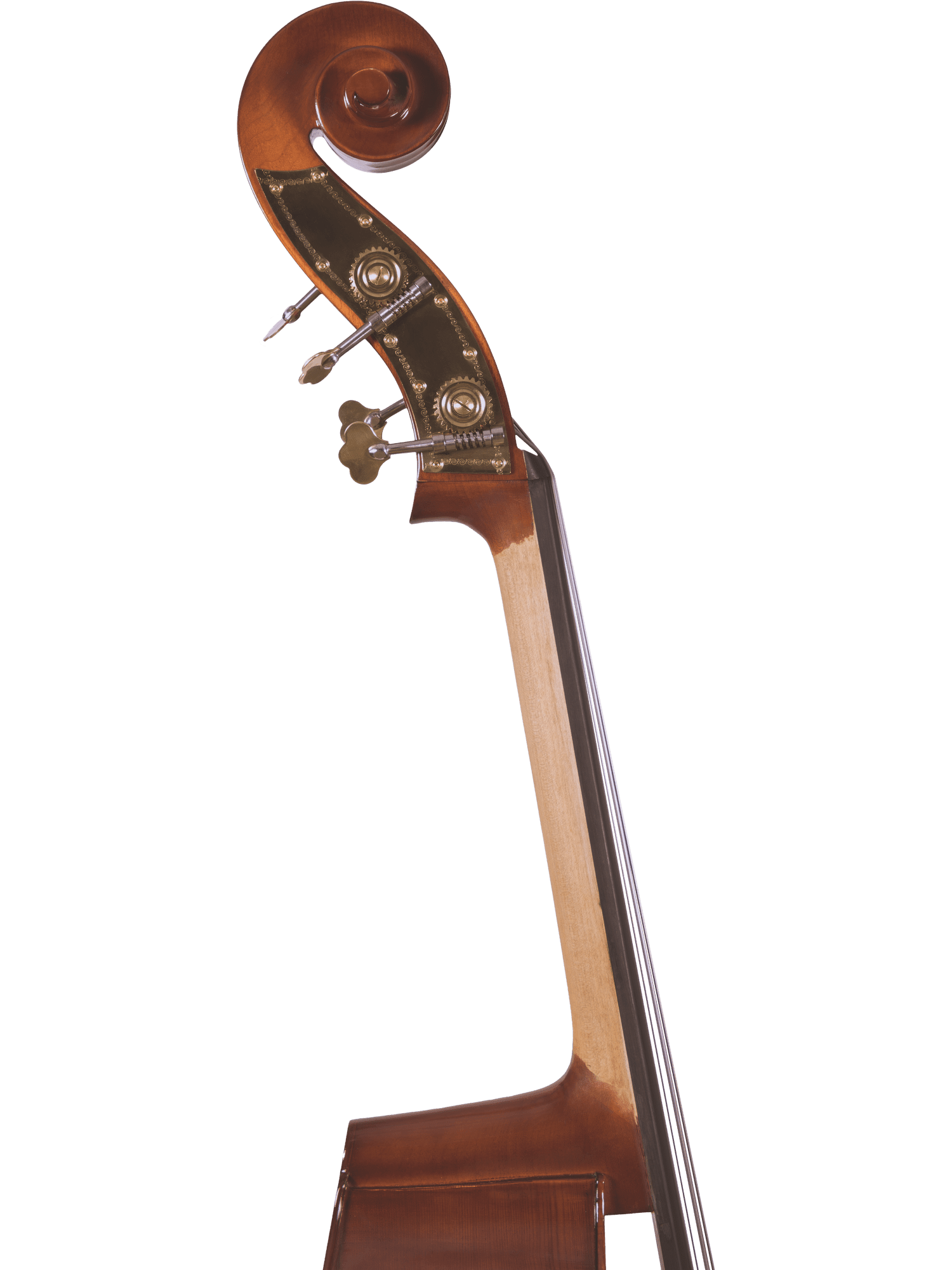Student Bass Outfit – Canzona 200 Sonata - AAA Band Instrument Rentals