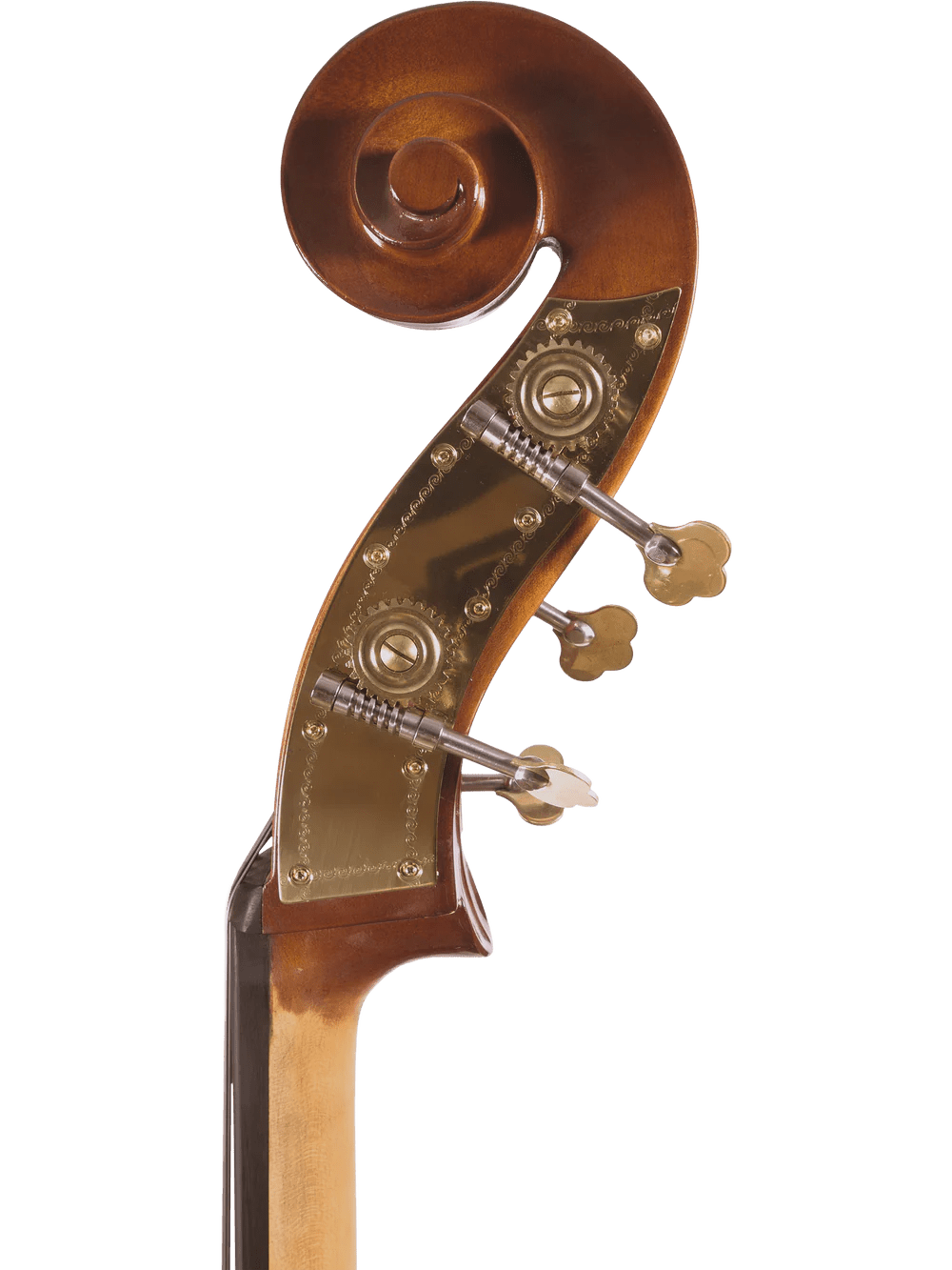 Student Double Bass Outfit – Canzona Allegra 100 Series - AAA Band Instrument Rentals