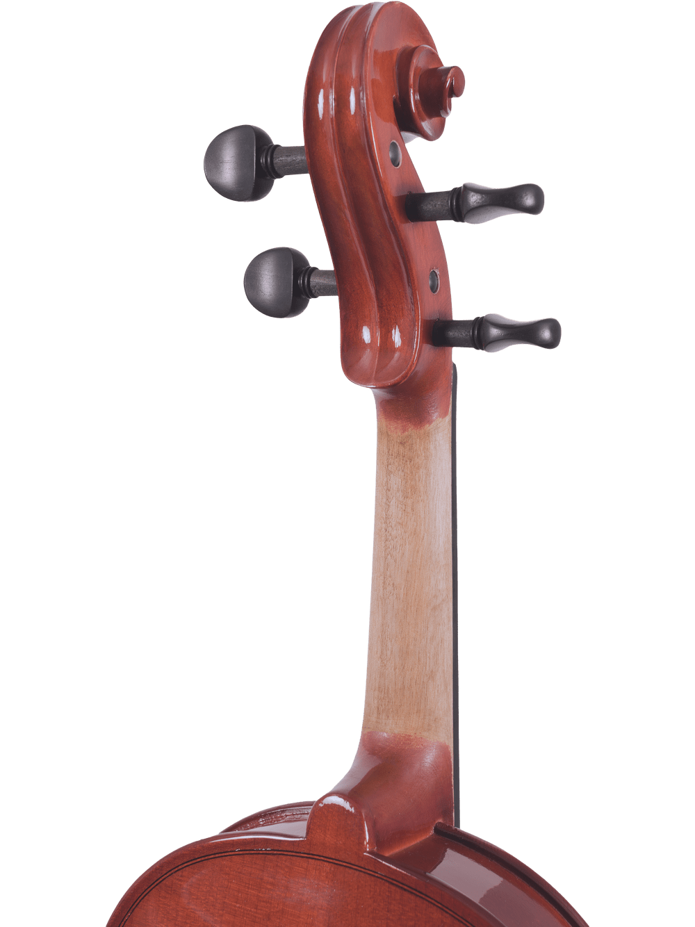 Student Viola Outfit – Canzona Allegra (Hand-Carved Spruce & Maple) - AAA Band Instrument Rentals