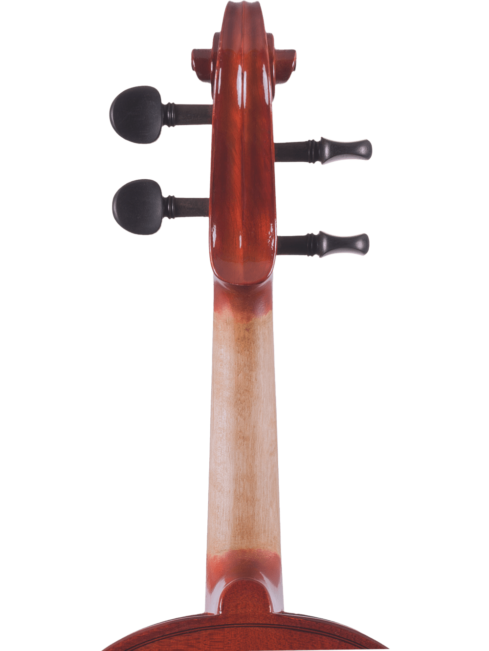 Student Viola Outfit – Canzona Allegra (Hand-Carved Spruce & Maple) - AAA Band Instrument Rentals
