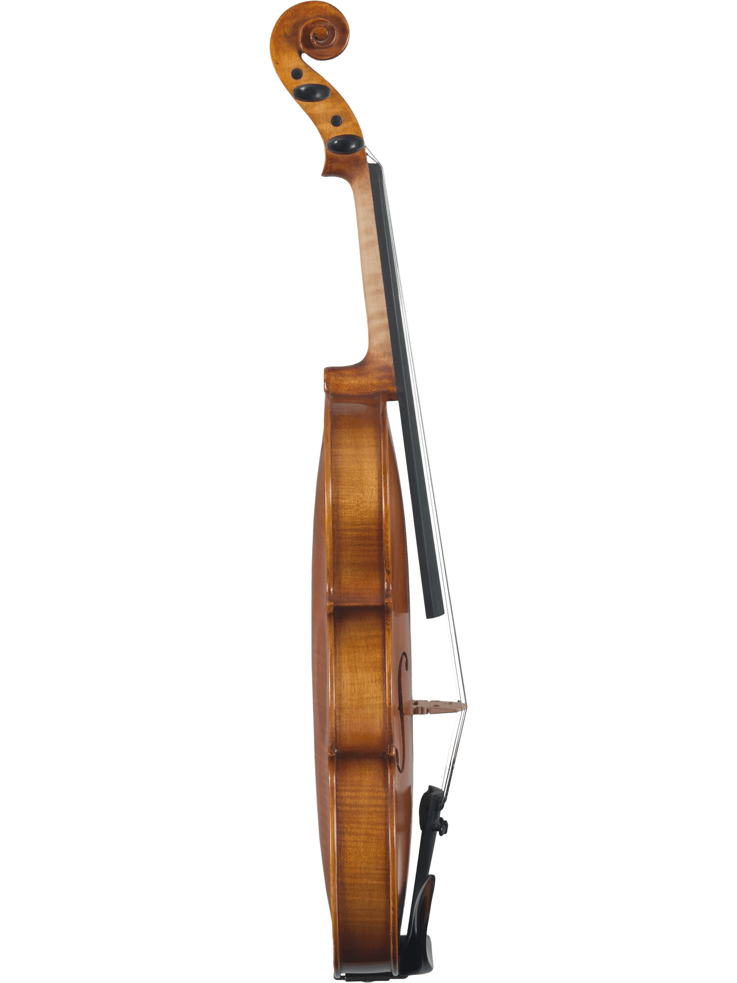 Violin Outfit – Canzona Caprice 300 Series (Hand-Carved Spruce & Maple) - AAA Band Instrument Rentals