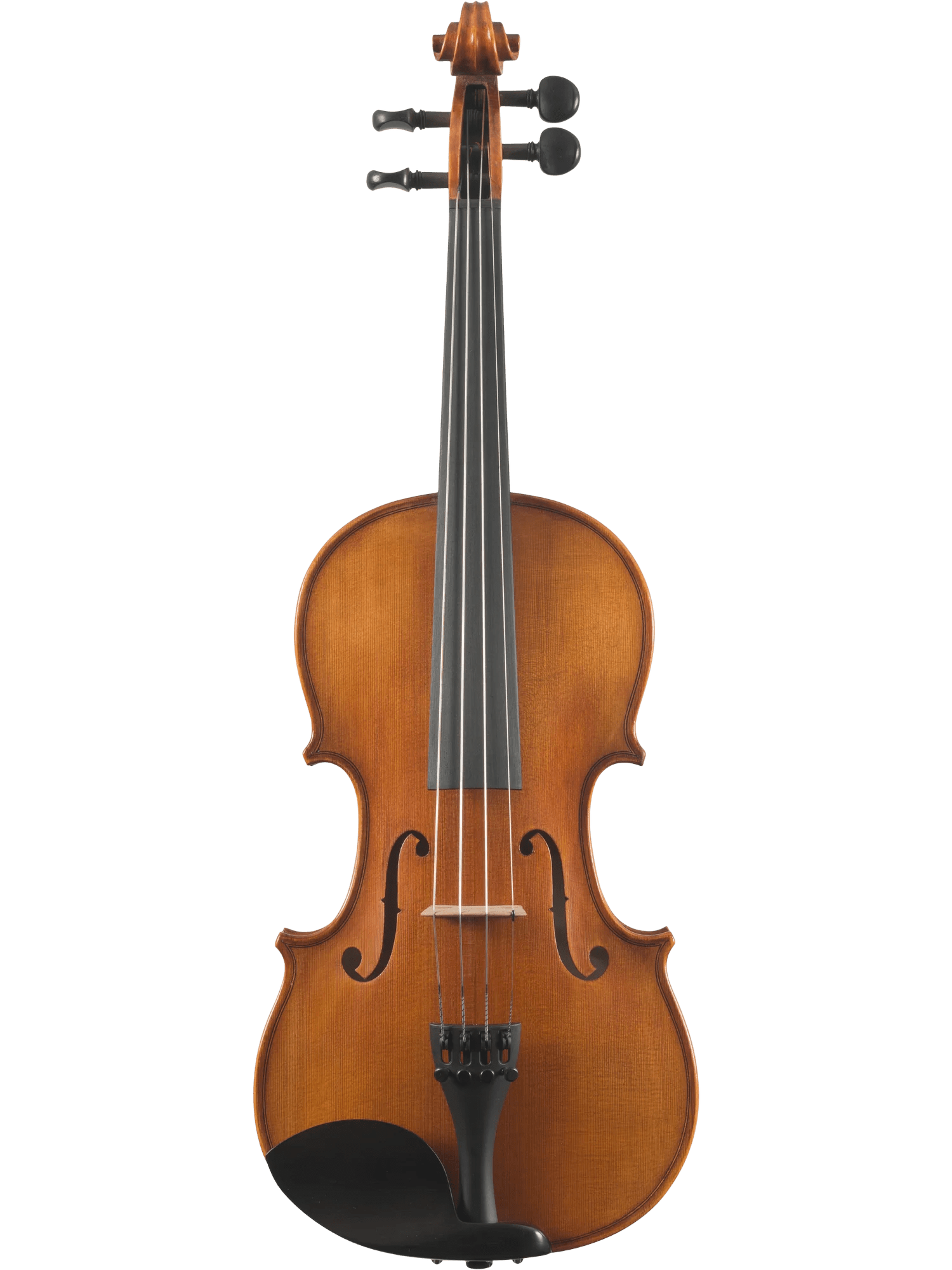 Violin Outfit – Canzona Caprice 300 Series (Hand-Carved Spruce & Maple) - AAA Band Instrument Rentals