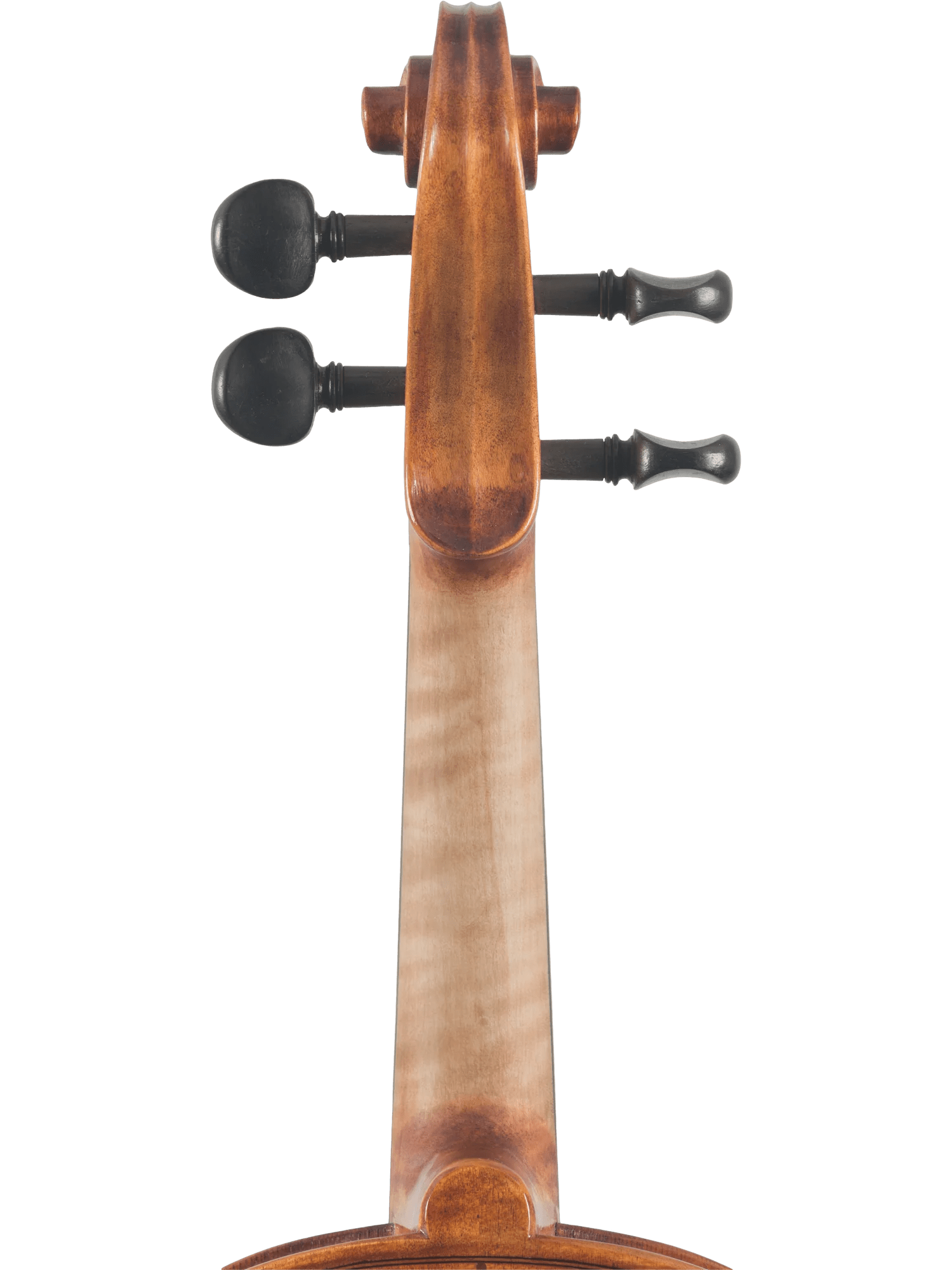 Violin Outfit – Canzona Caprice 300 Series (Hand-Carved Spruce & Maple) - AAA Band Instrument Rentals
