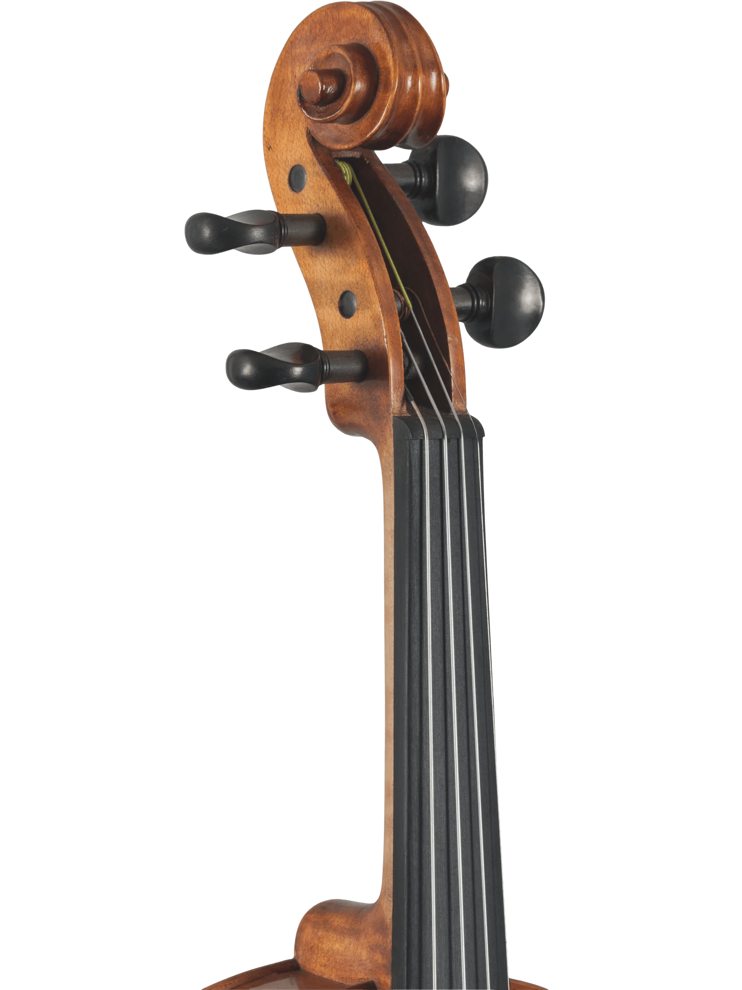 Violin Outfit – Canzona Caprice 300 Series (Hand-Carved Spruce & Maple) - AAA Band Instrument Rentals