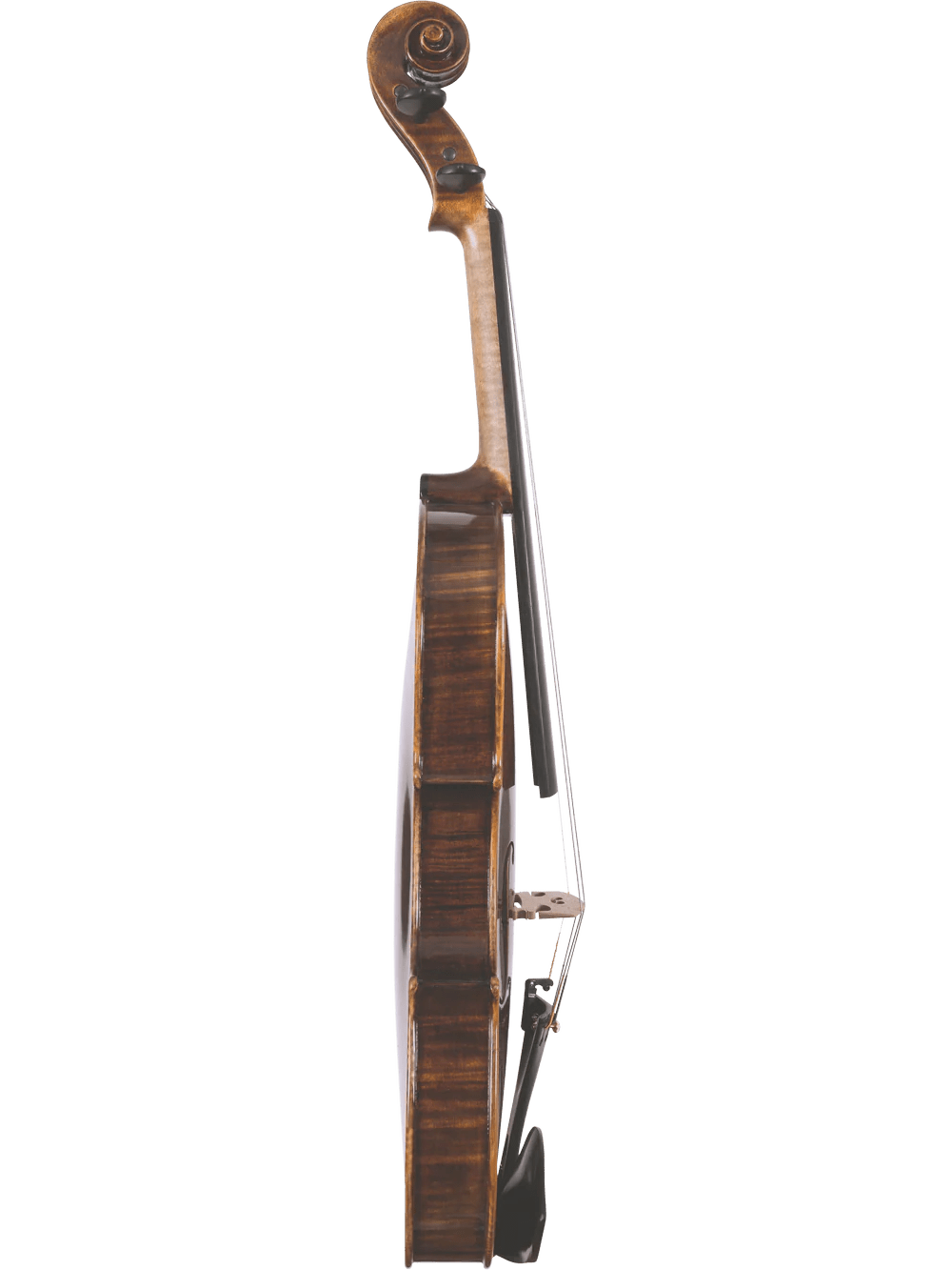 Violin Outfit – Canzona Lombardy - AAA Band Instrument Rentals