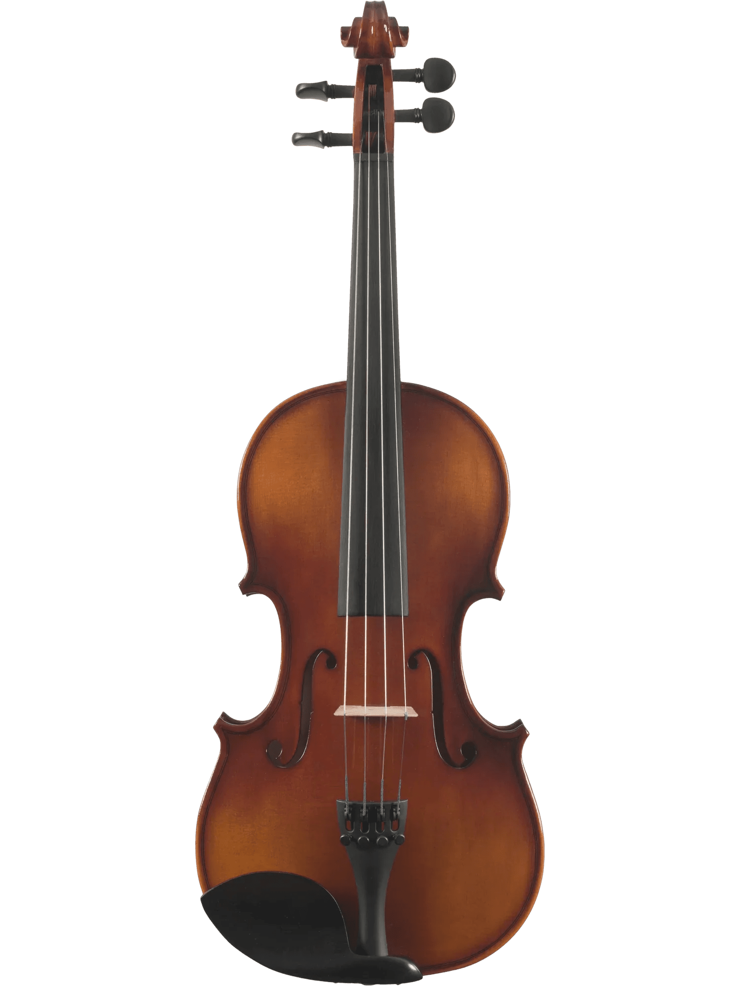 All String Instruments - AAA Band Instrument Rentals