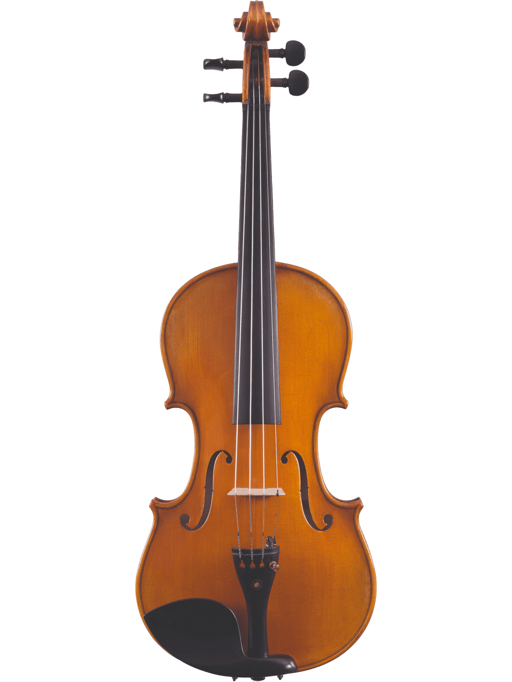 Violins - AAA Band Instrument Rentals