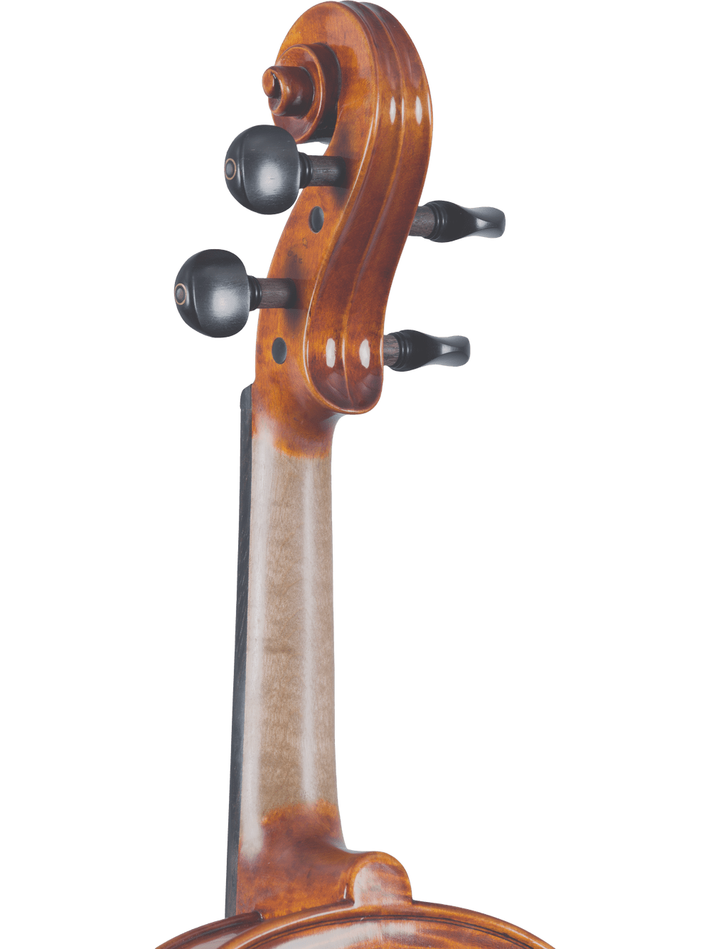 Artist Series Violin – Canzona Francesco Veracini 530 (Spruce & Flamed Maple) - AAA Band Instrument Rentals