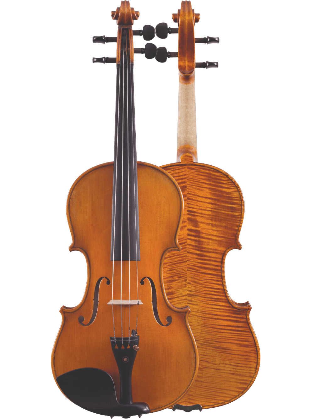Artist Series Violin – Canzona Francesco Veracini 530 (Spruce & Flamed Maple) - AAA Band Instrument Rentals