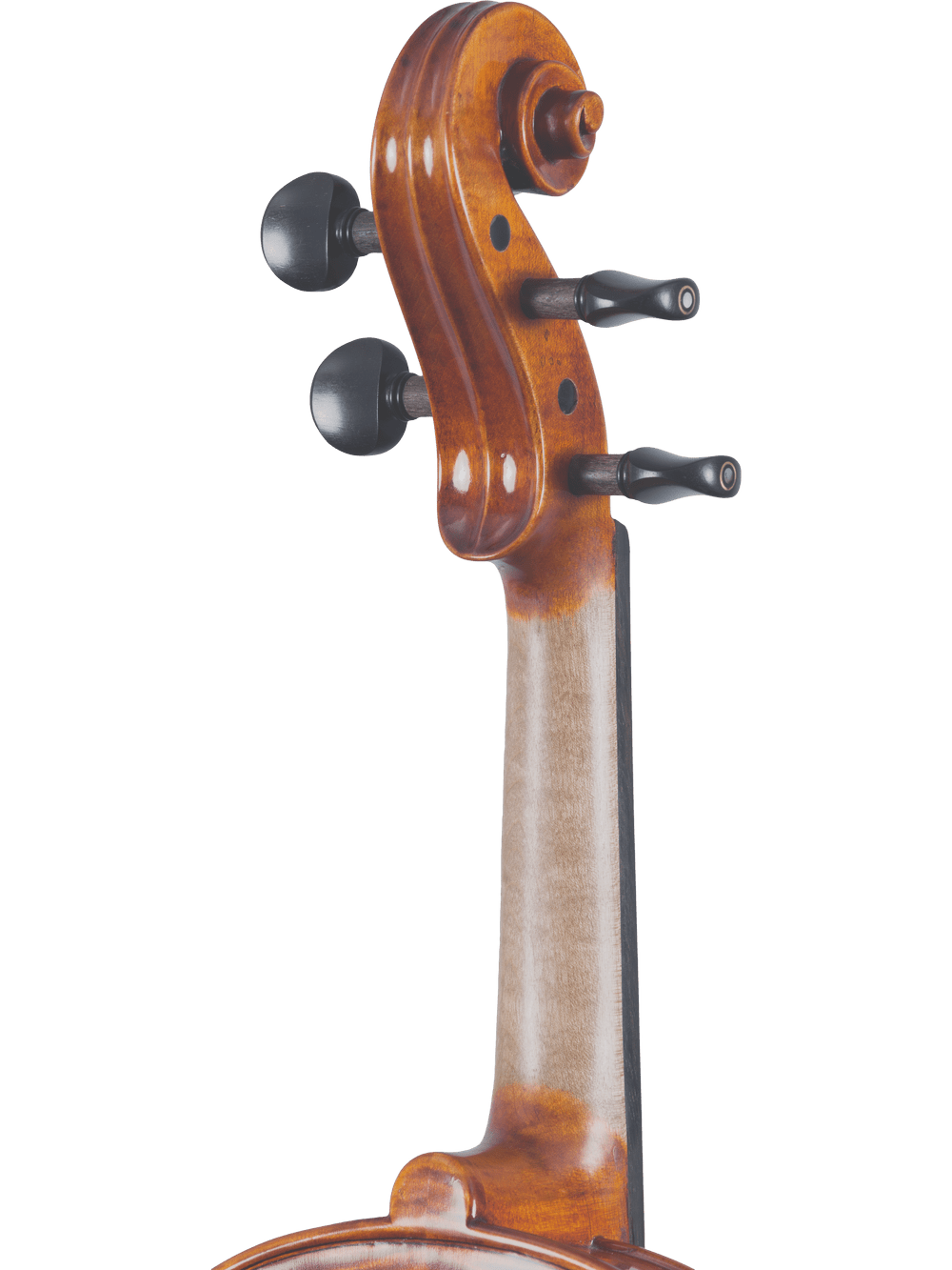 Artist Series Violin – Canzona Francesco Veracini 530 (Spruce & Flamed Maple) - AAA Band Instrument Rentals