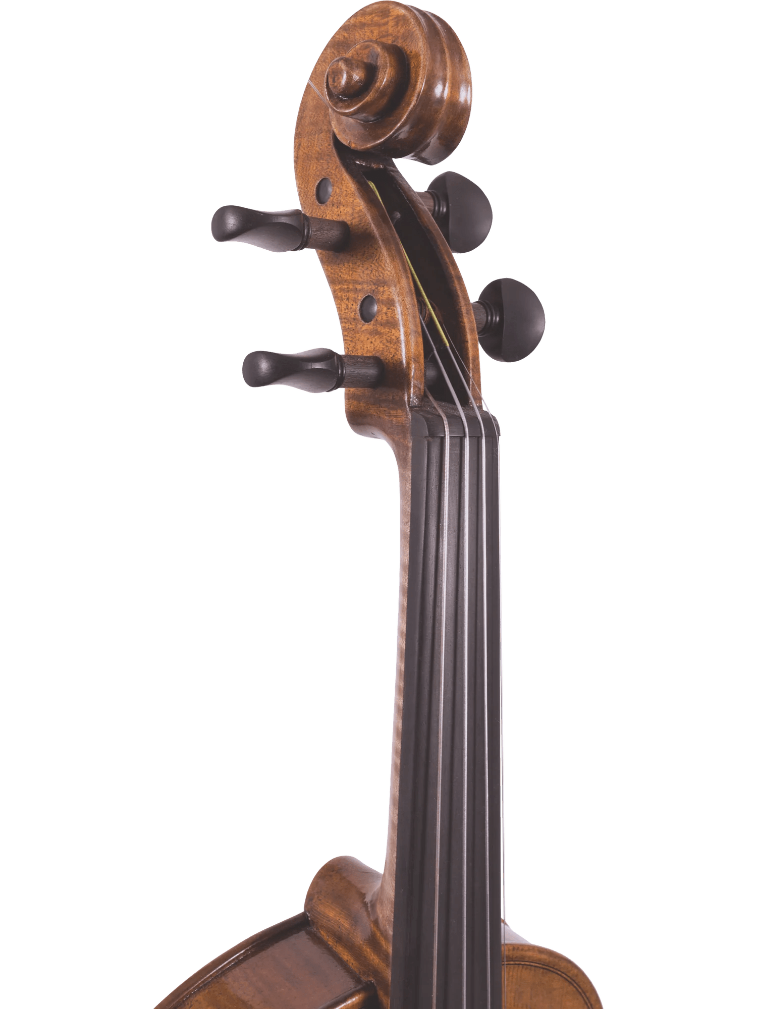 Canzona Lorenzo Intermediate Violin Outfit - AAA Band Instrument Rentals