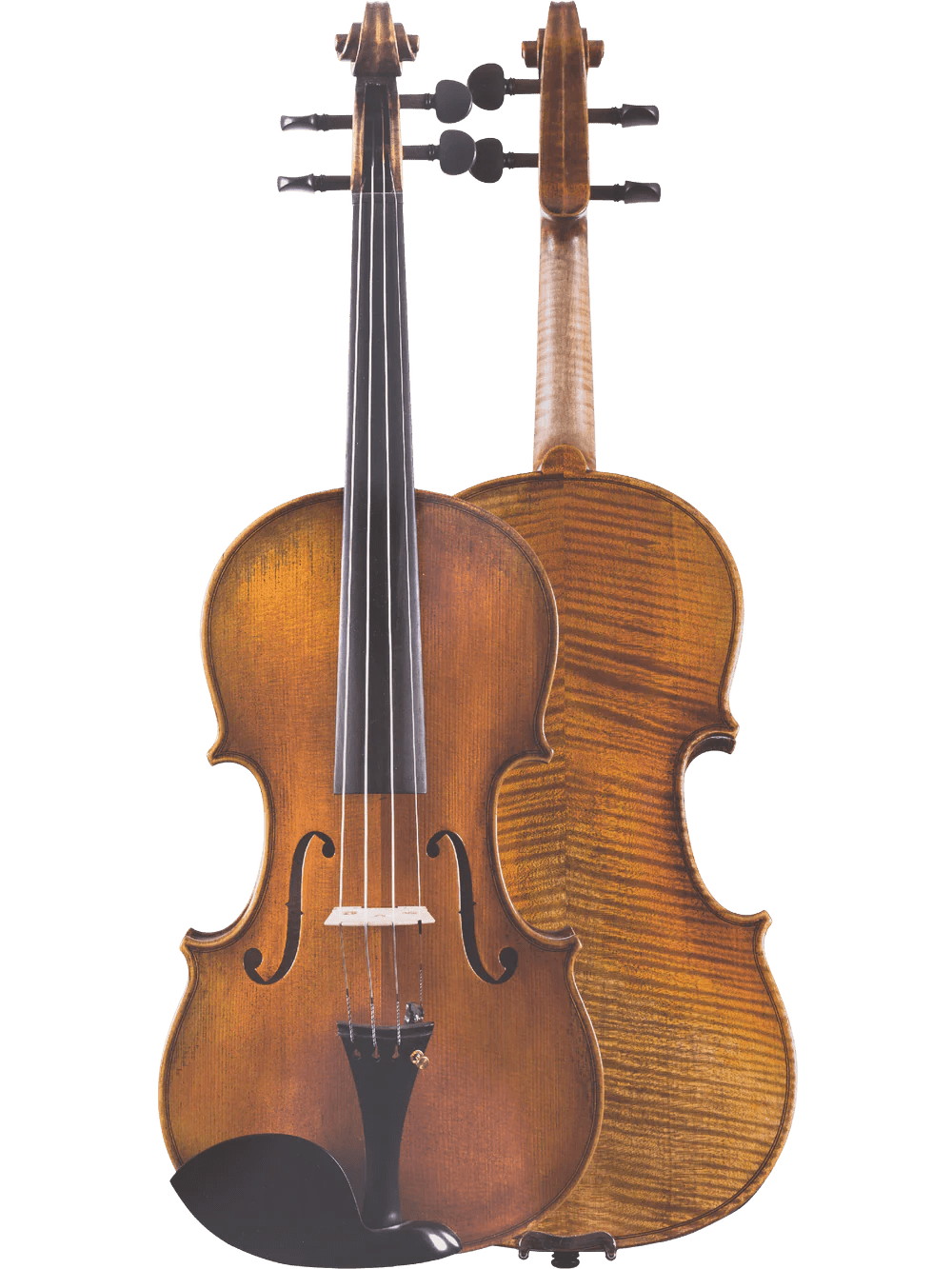 Canzona Lorenzo Intermediate Violin Outfit - AAA Band Instrument Rentals