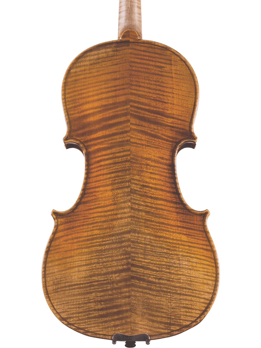 Canzona Lorenzo Intermediate Violin Outfit - AAA Band Instrument Rentals