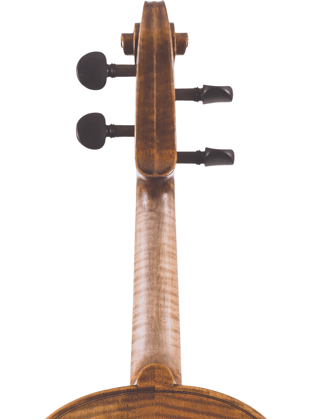 Canzona Lorenzo Intermediate Violin Outfit - AAA Band Instrument Rentals