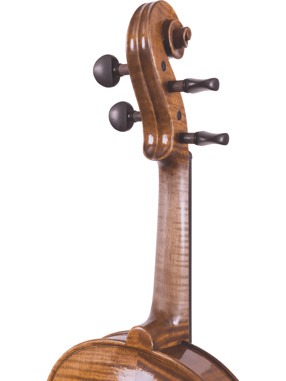 Canzona Lorenzo Intermediate Violin Outfit - AAA Band Instrument Rentals