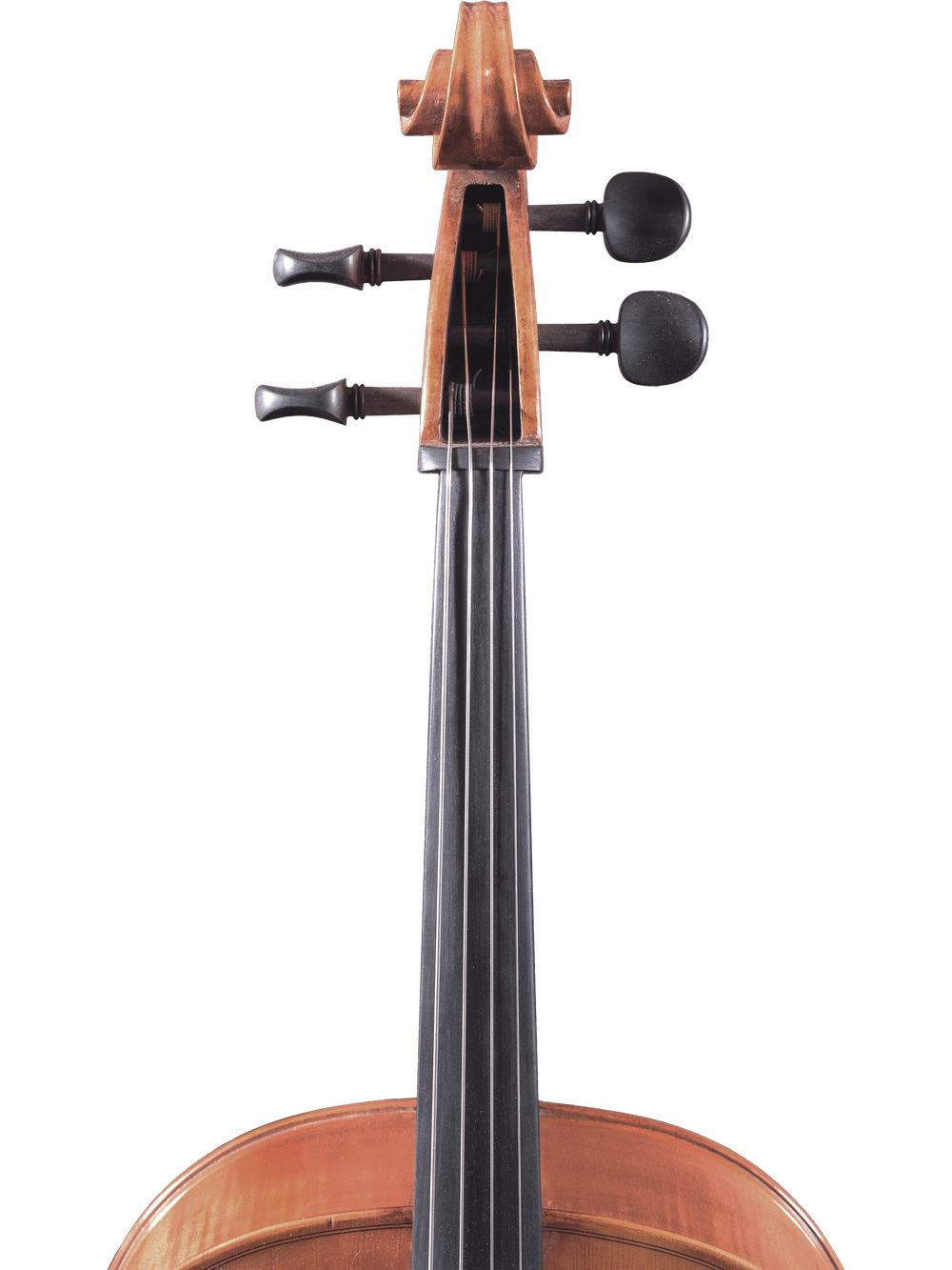 Canzona Milano 400 Cello Outfit - AAA Band Instrument Rentals
