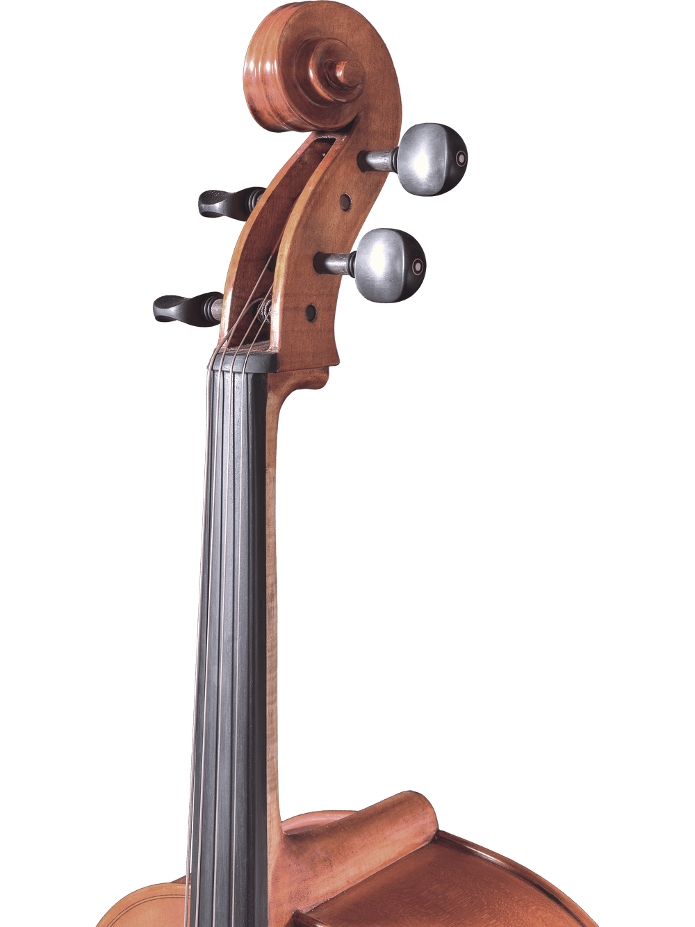 Canzona Milano 400 Cello Outfit - AAA Band Instrument Rentals