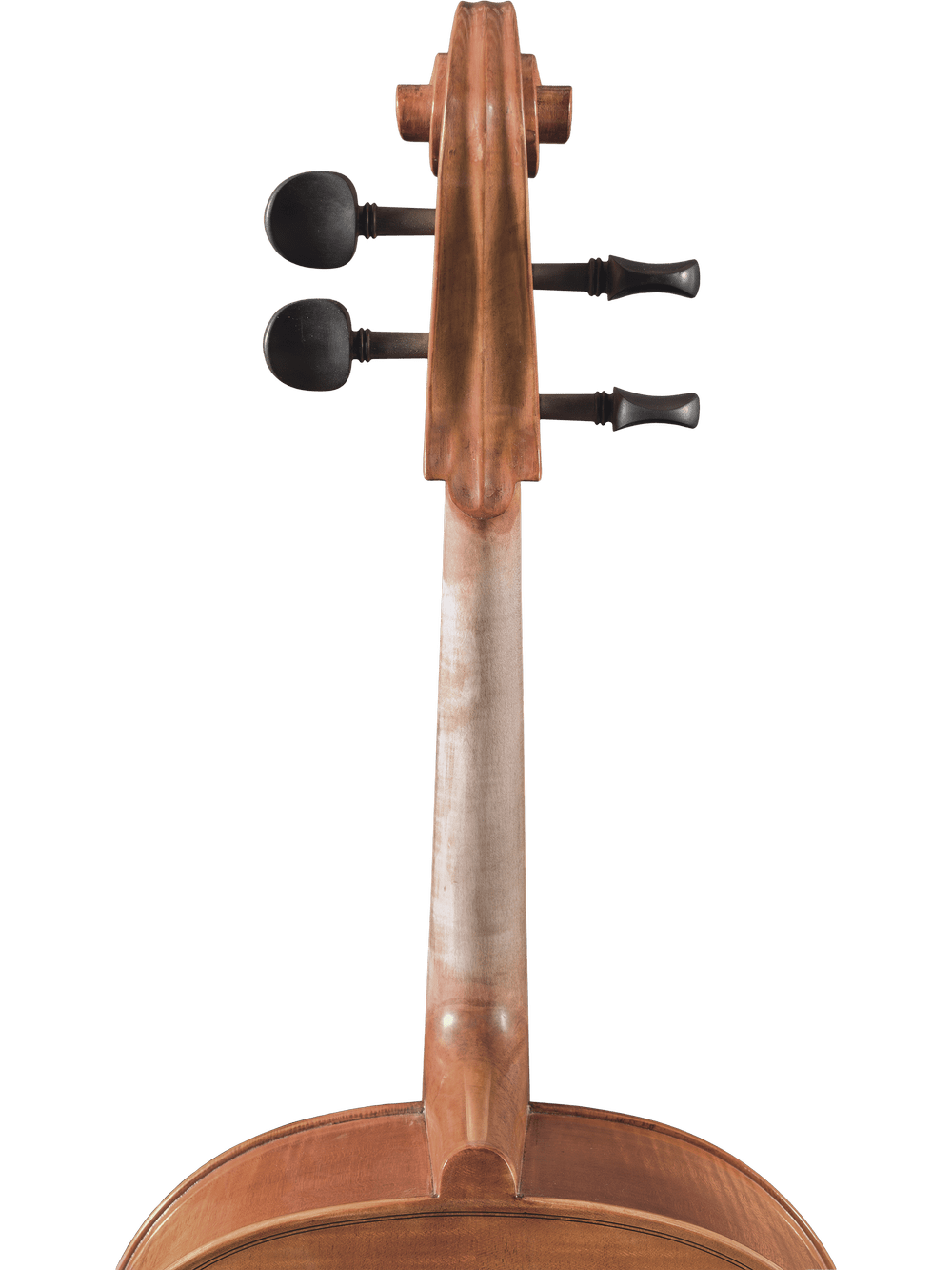 Canzona Milano 400 Cello Outfit - AAA Band Instrument Rentals