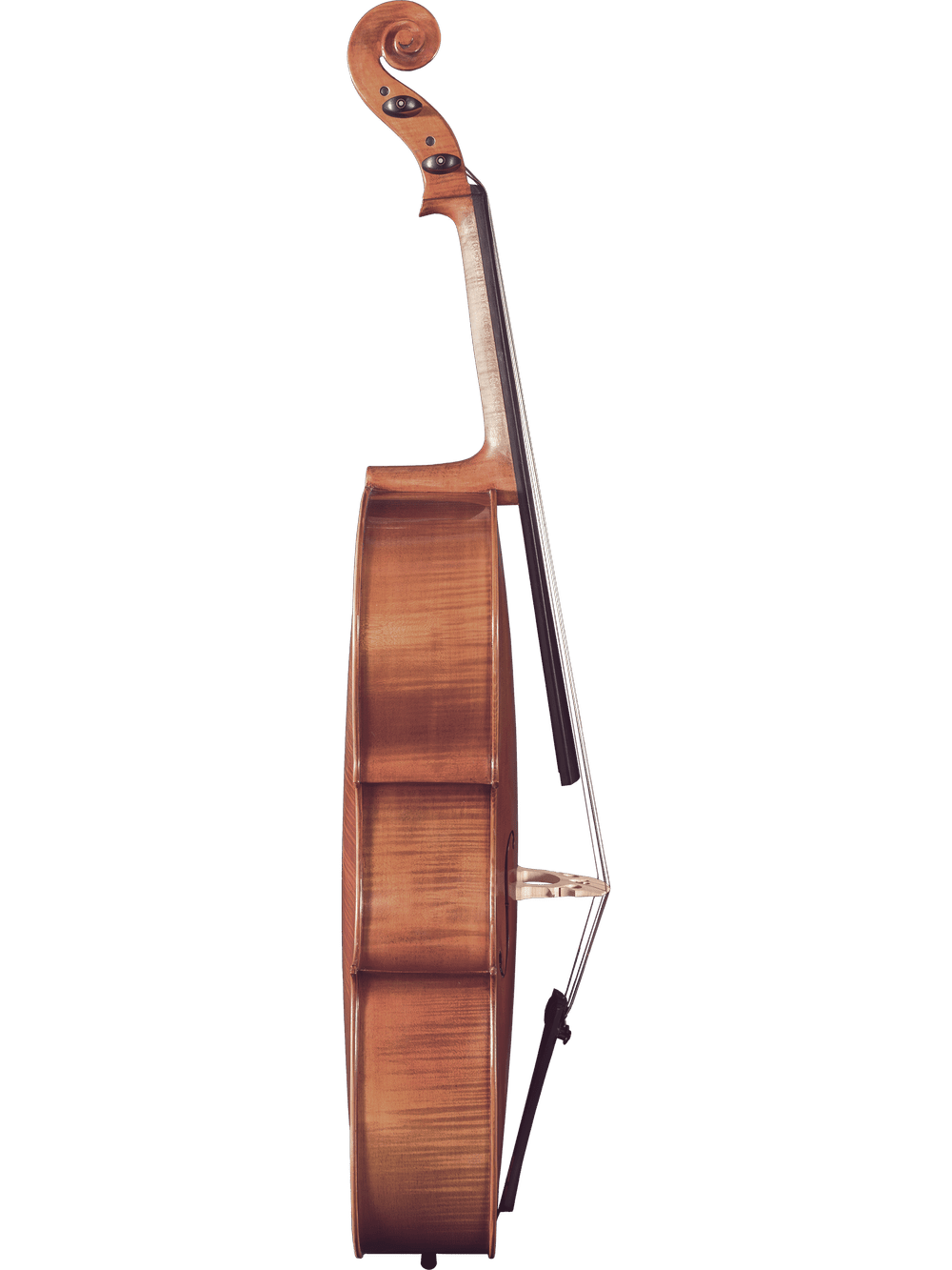Canzona Milano 400 Cello Outfit - AAA Band Instrument Rentals