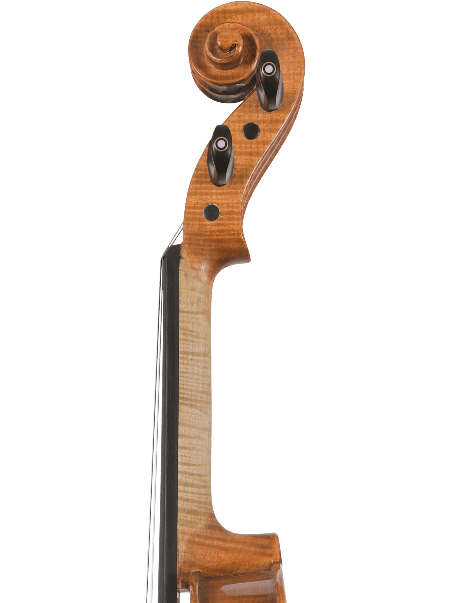 Canzona Milano Advanced Violin Outfit - AAA Band Instrument Rentals