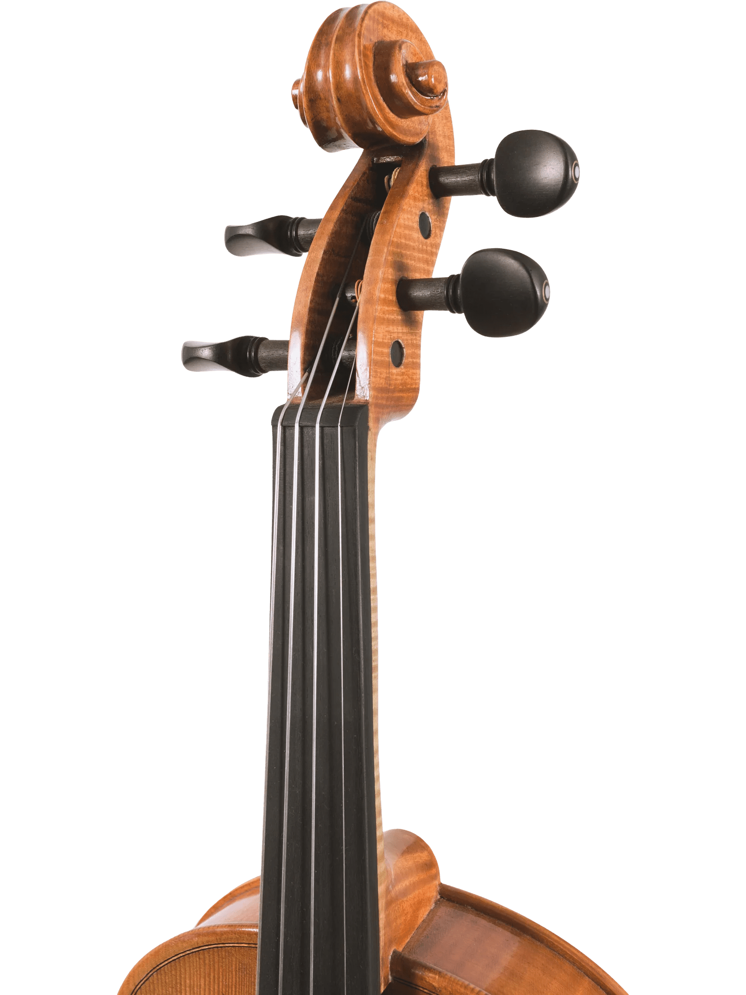 Canzona Milano Advanced Violin Outfit - AAA Band Instrument Rentals