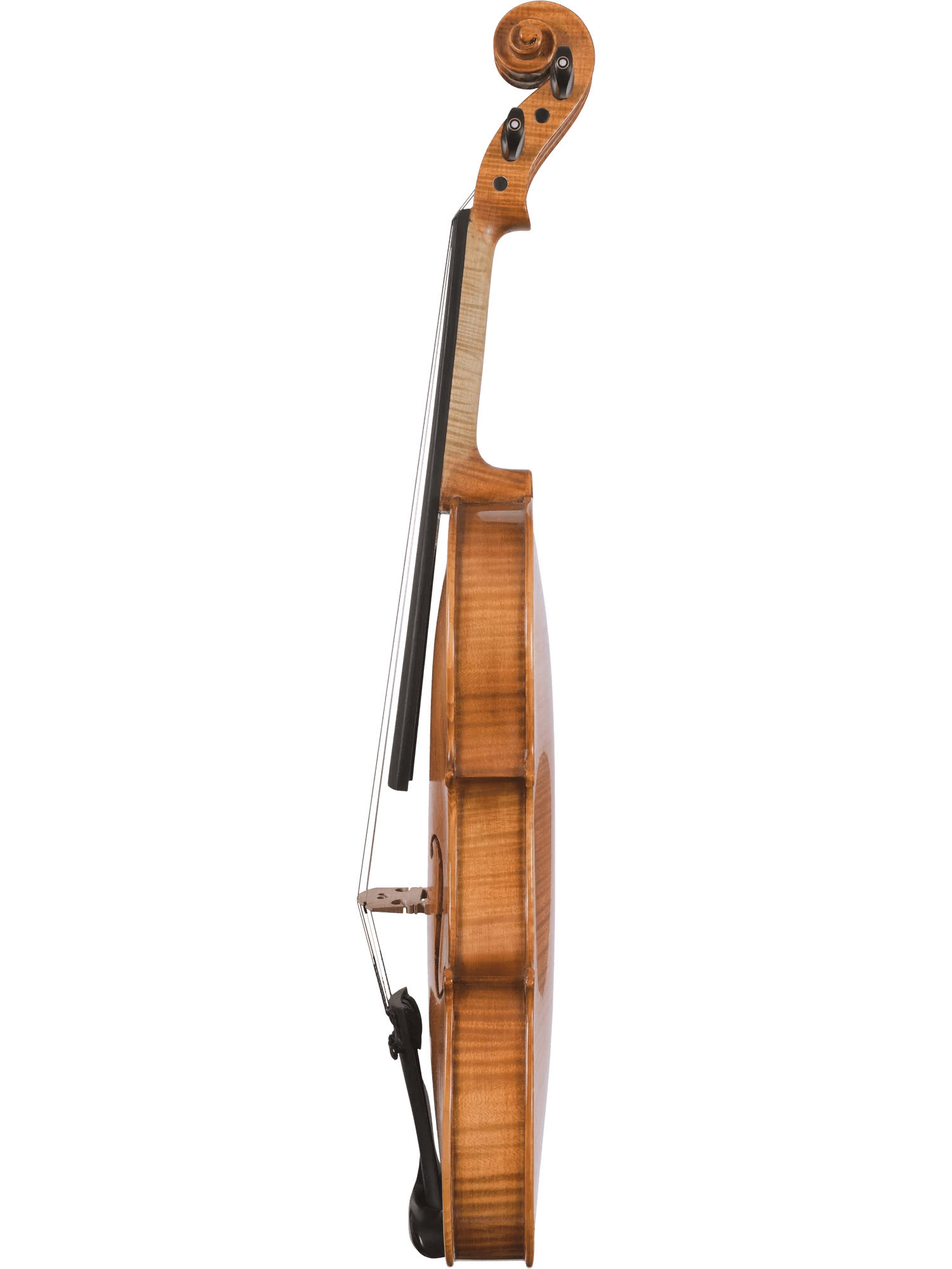 Canzona Milano Advanced Violin Outfit - AAA Band Instrument Rentals