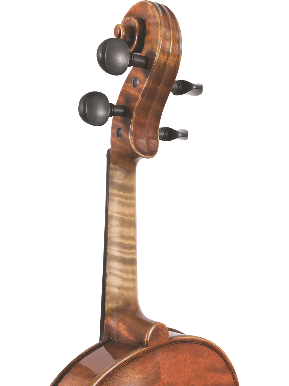 Canzona Pietro Locatelli Premium Advanced Violin Outfit - AAA Band Instrument Rentals