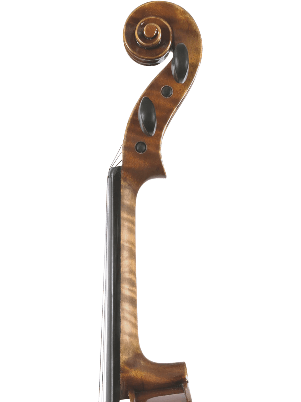 Canzona Pietro Locatelli Premium Advanced Violin Outfit - AAA Band Instrument Rentals