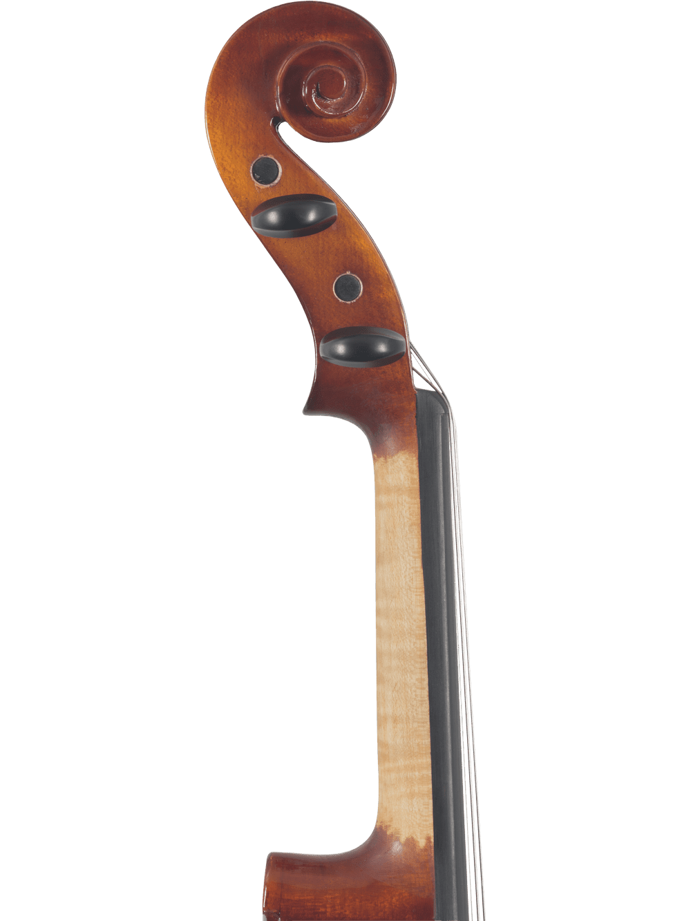 Canzona Sonata 200 Series Student Viola Outfit – Hand Carved Spruce & Maple - AAA Band Instrument Rentals