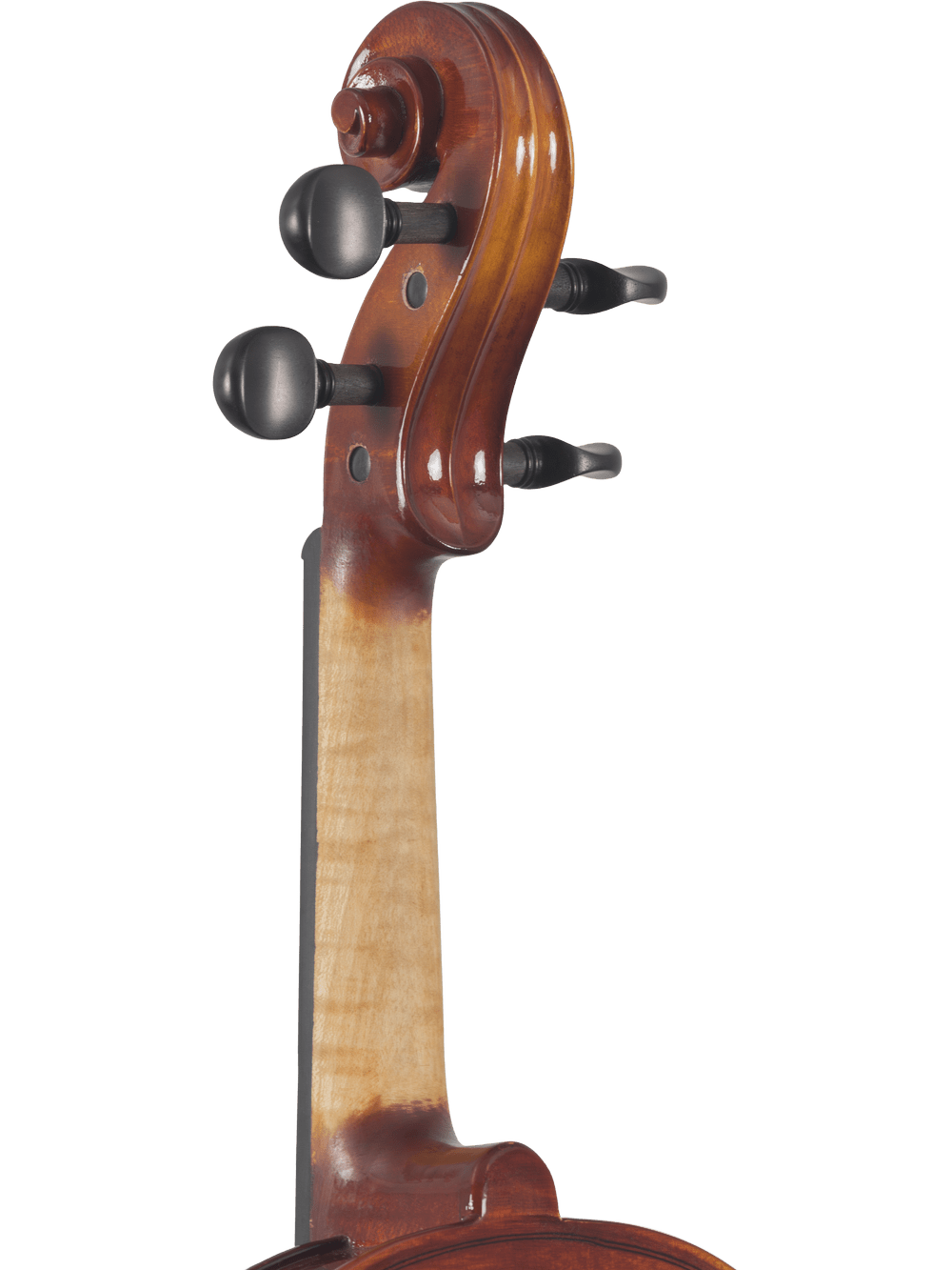 Canzona Sonata 200 Series Student Viola Outfit – Hand Carved Spruce & Maple - AAA Band Instrument Rentals