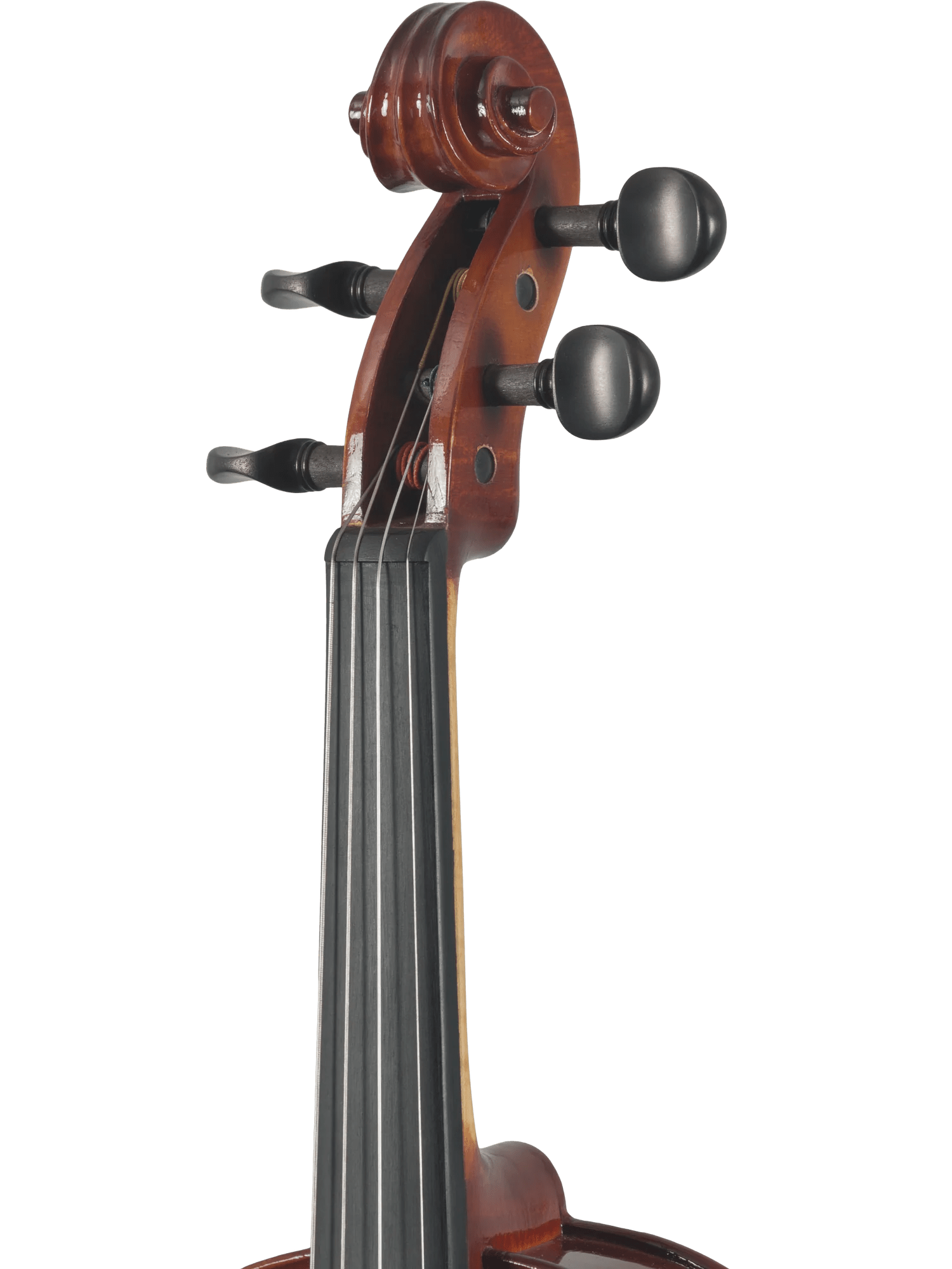 Canzona Sonata Student Violin Outfit - AAA Band Instrument Rentals