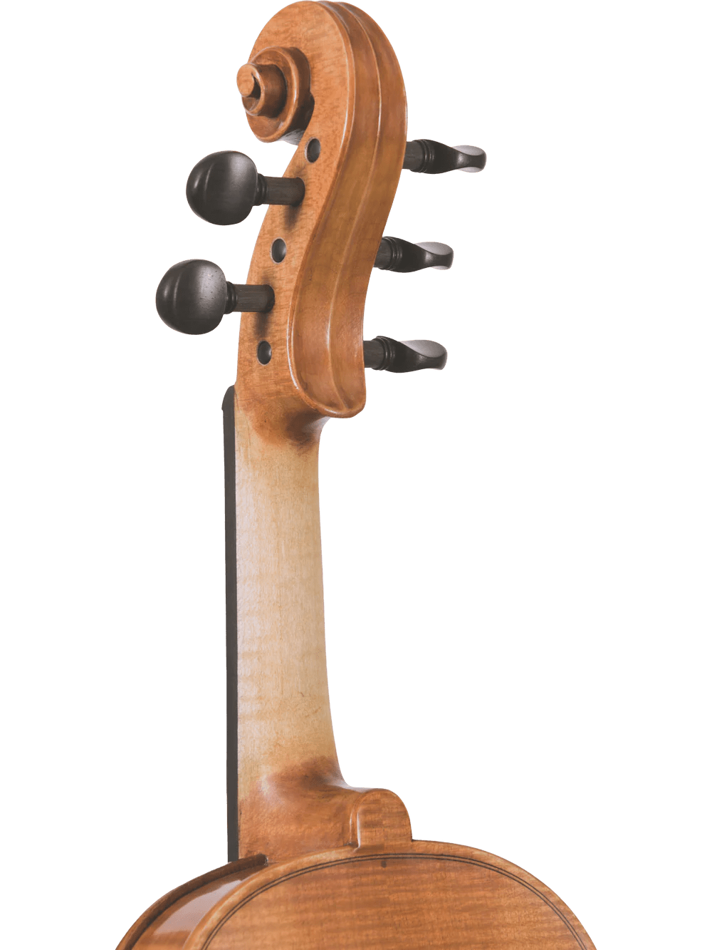 Canzona Violina Cinque 5-String Violin - AAA Band Instrument Rentals