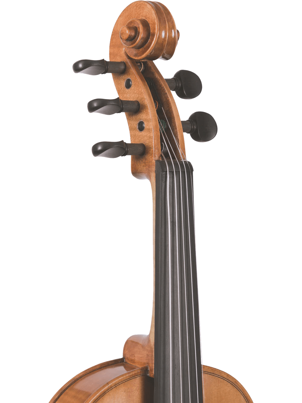 Canzona Violina Cinque 5-String Violin - AAA Band Instrument Rentals