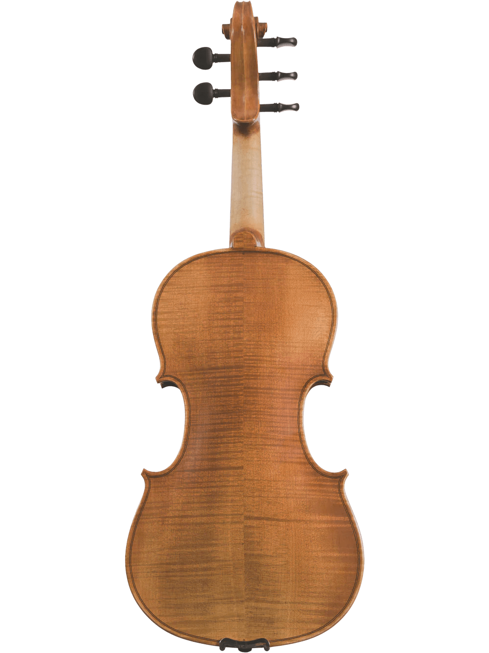 Canzona Violina Cinque 5-String Violin - AAA Band Instrument Rentals