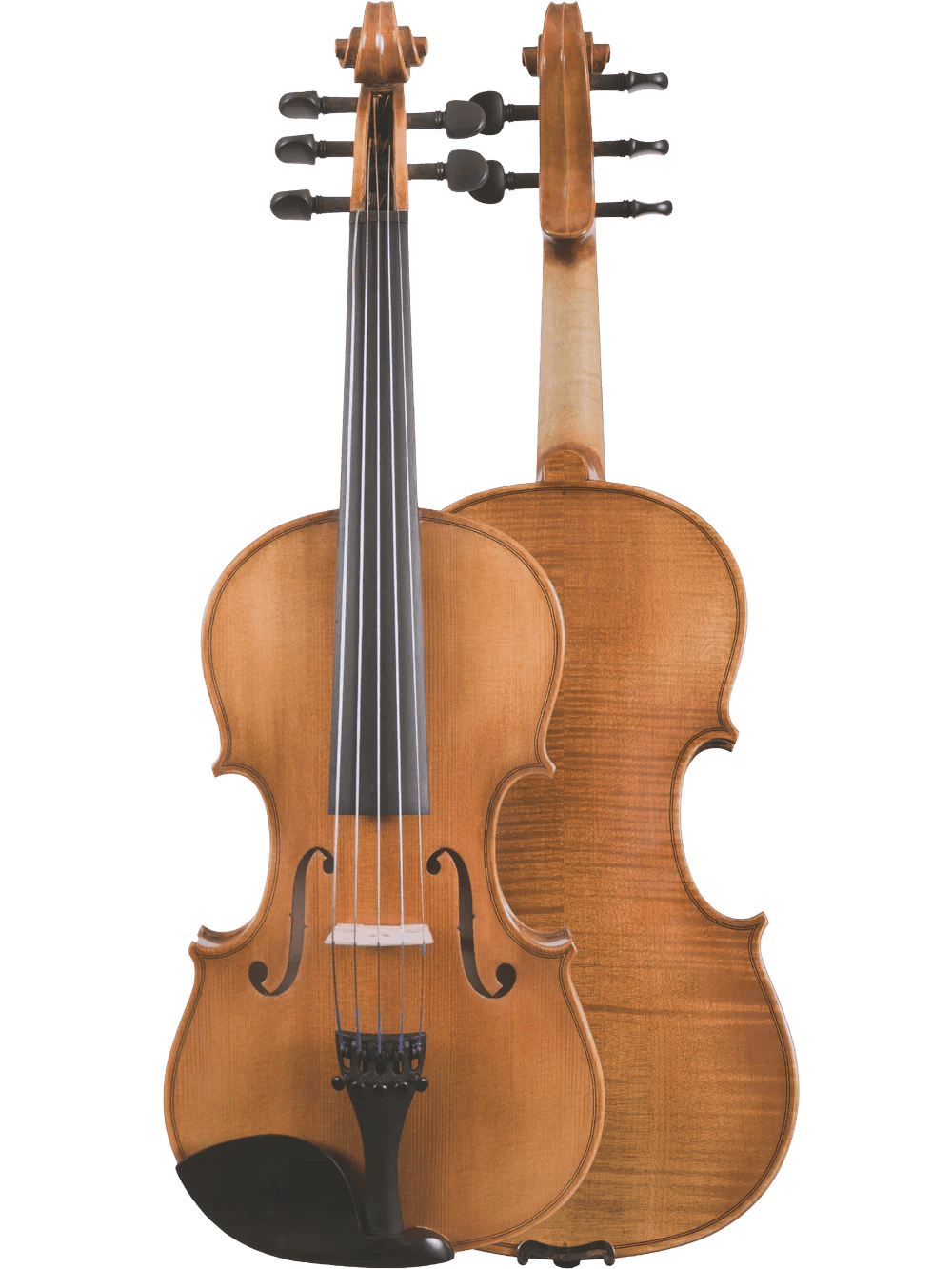 Canzona Violina Cinque 5-String Violin - AAA Band Instrument Rentals
