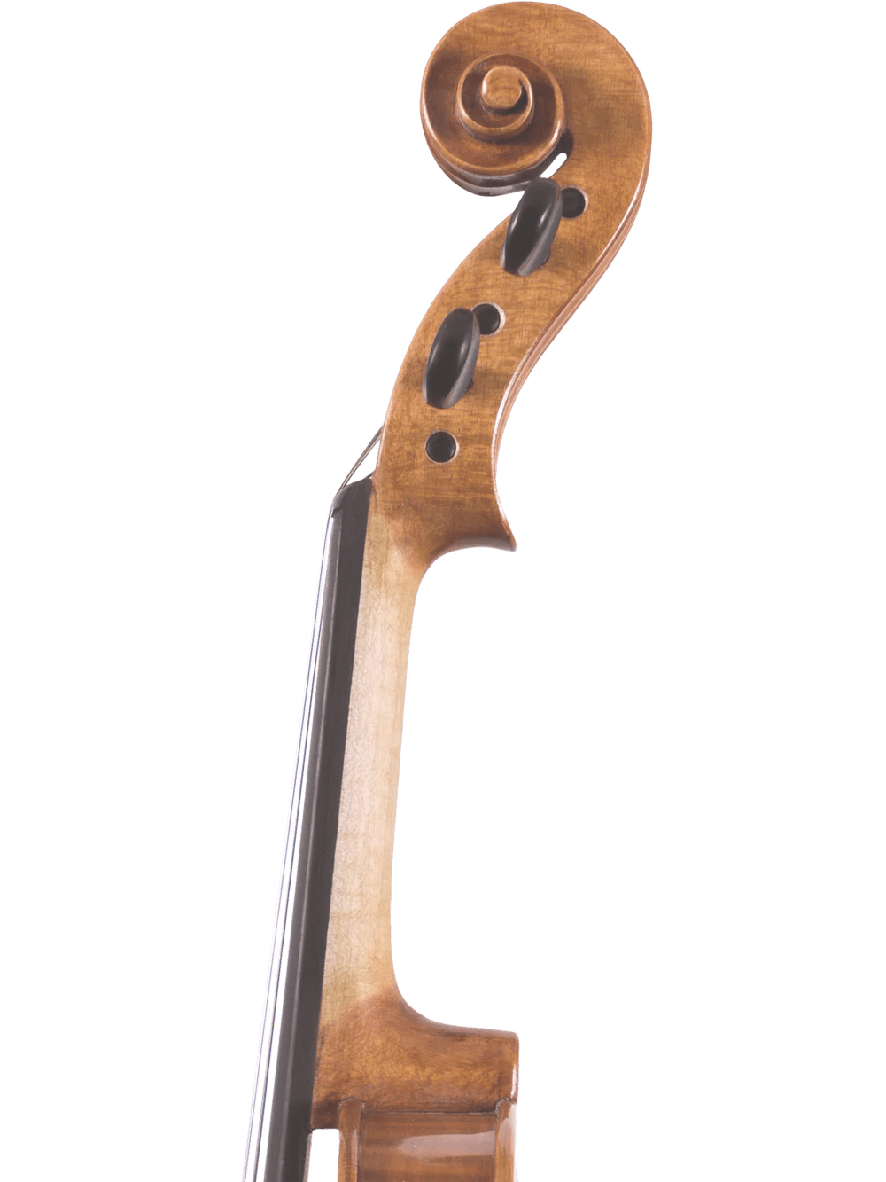Canzona Violina Cinque 5-String Violin - AAA Band Instrument Rentals