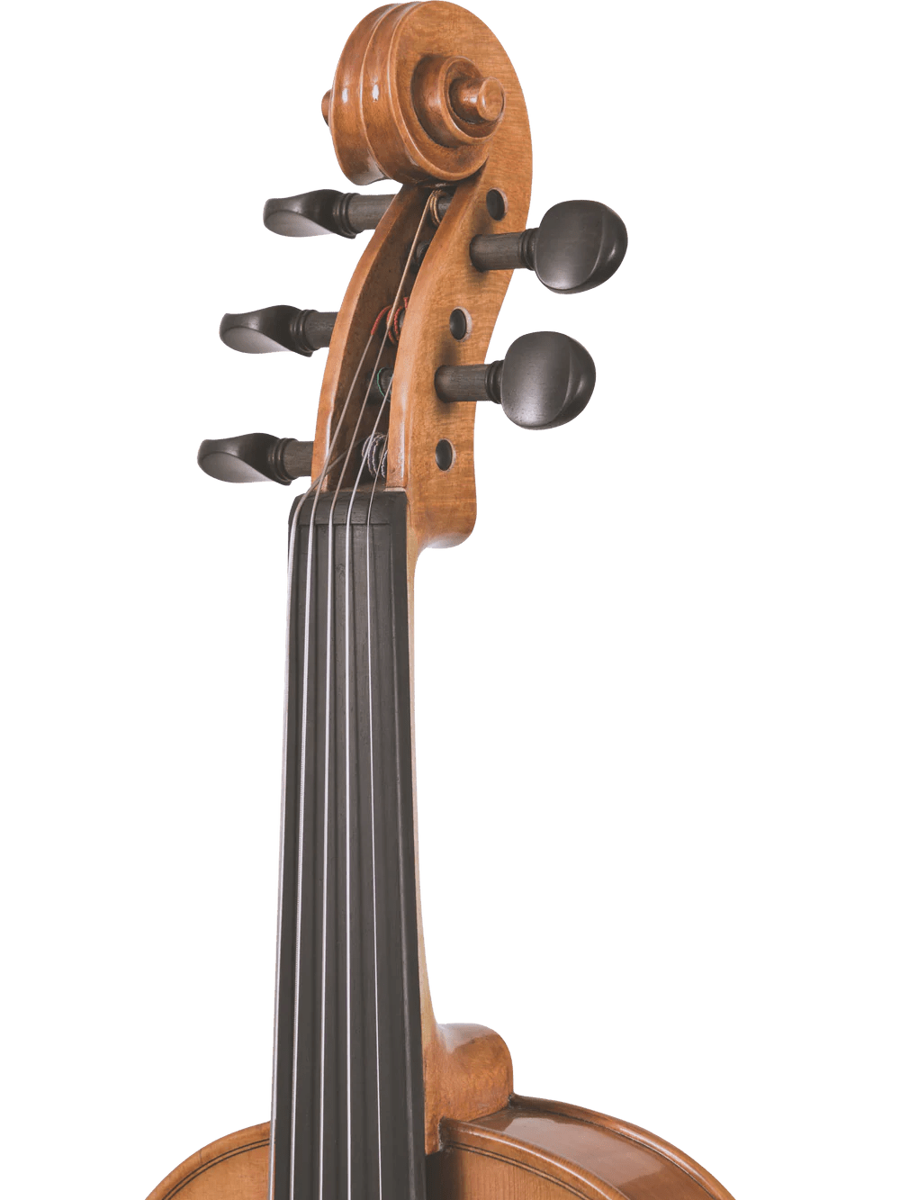 Canzona Violina Cinque 5-String Violin - AAA Band Instrument Rentals