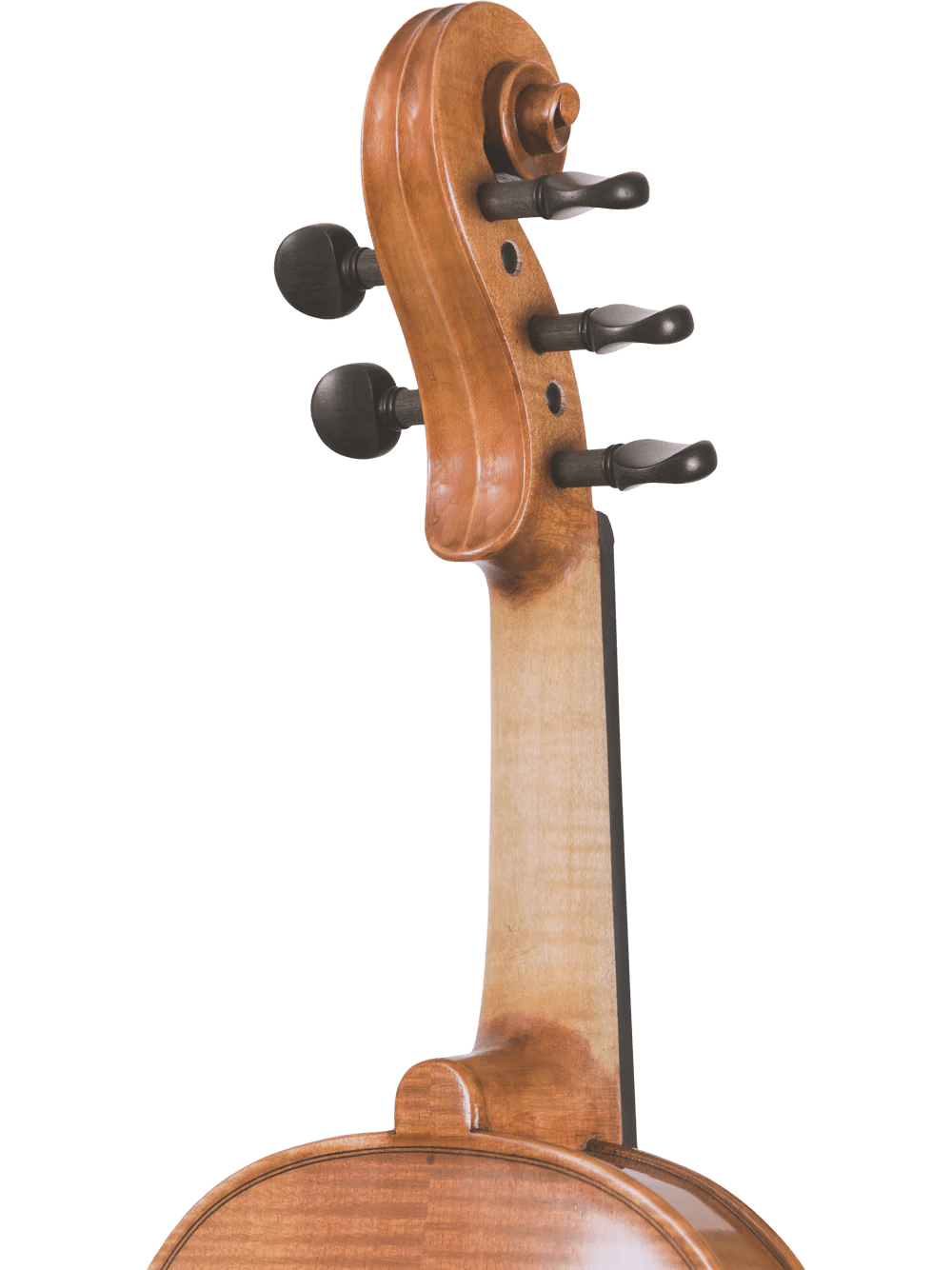 Canzona Violina Cinque 5-String Violin - AAA Band Instrument Rentals