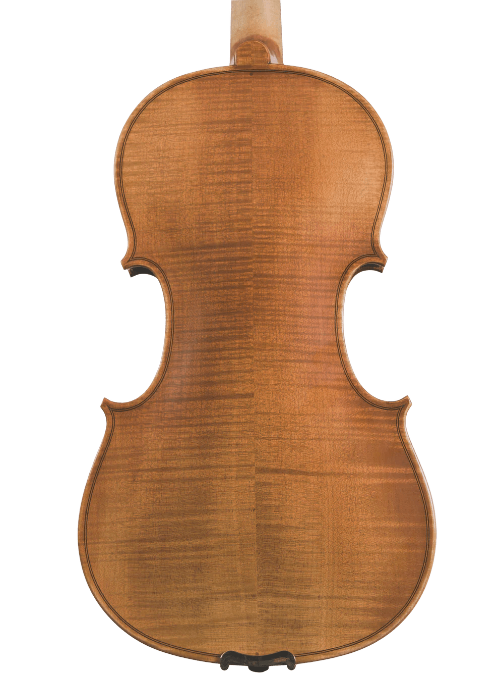 Canzona Violina Cinque 5-String Violin - AAA Band Instrument Rentals