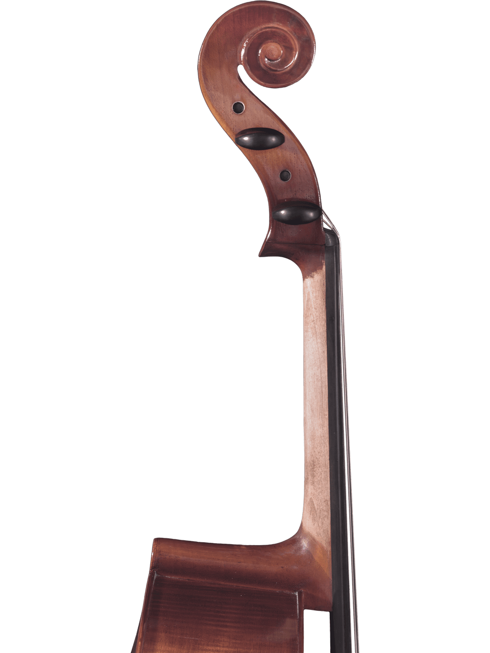 Cello Outfit – Canzona Allegro 100 - AAA Band Instrument Rentals
