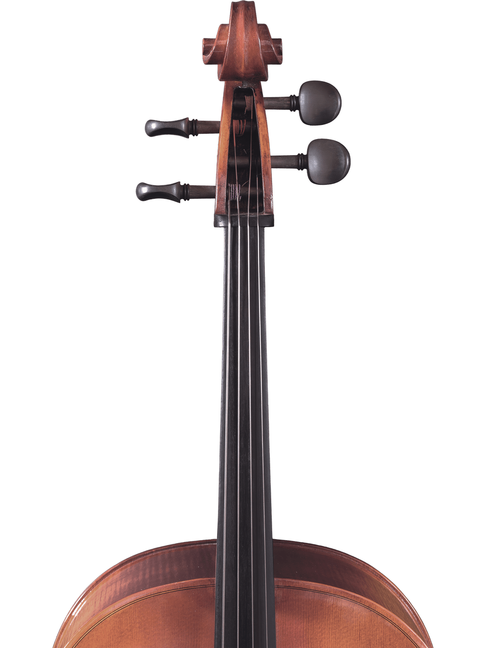 Cello Outfit – Canzona Allegro 100 - AAA Band Instrument Rentals