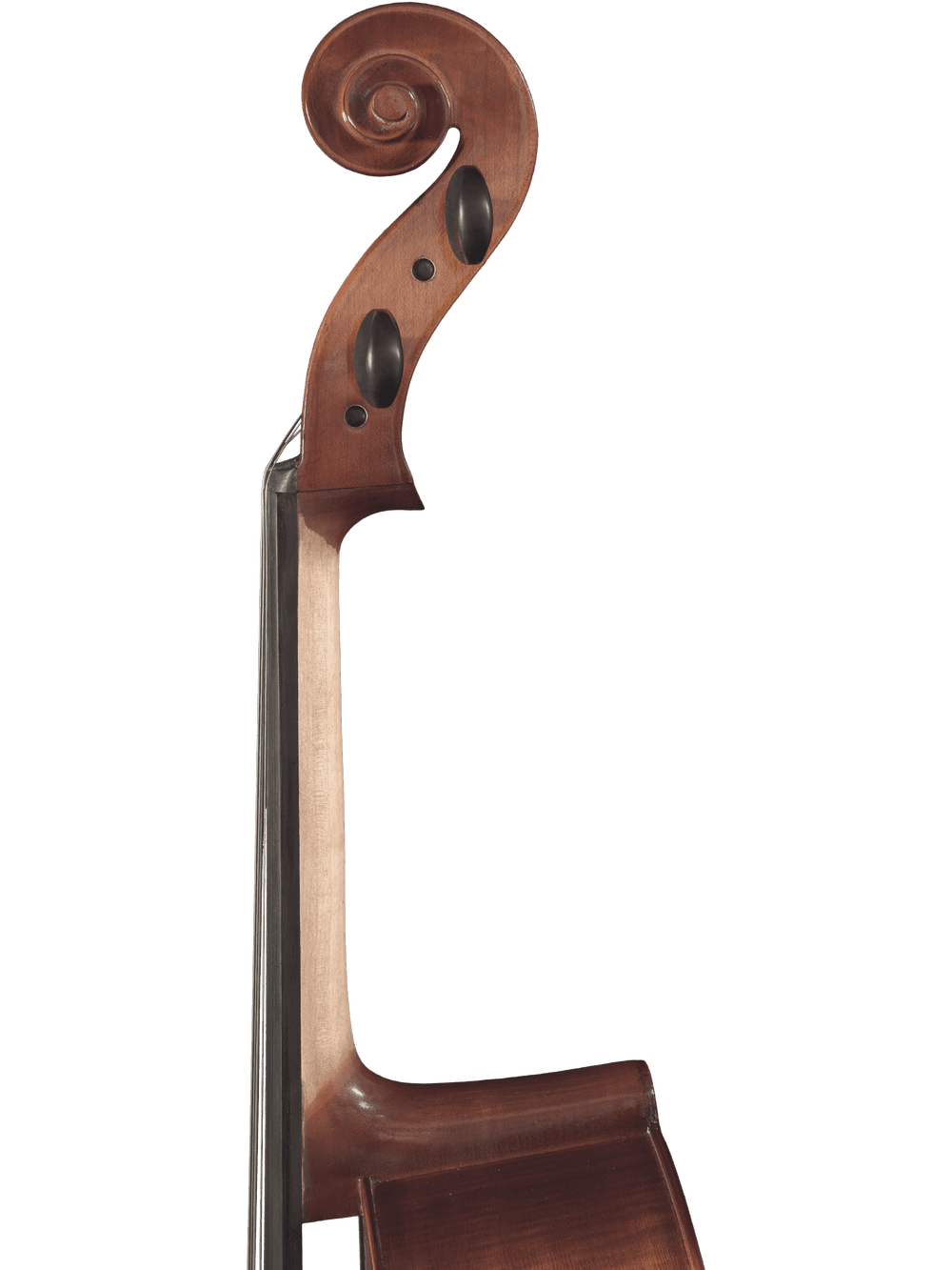 Cello Outfit – Canzona Allegro 100 - AAA Band Instrument Rentals