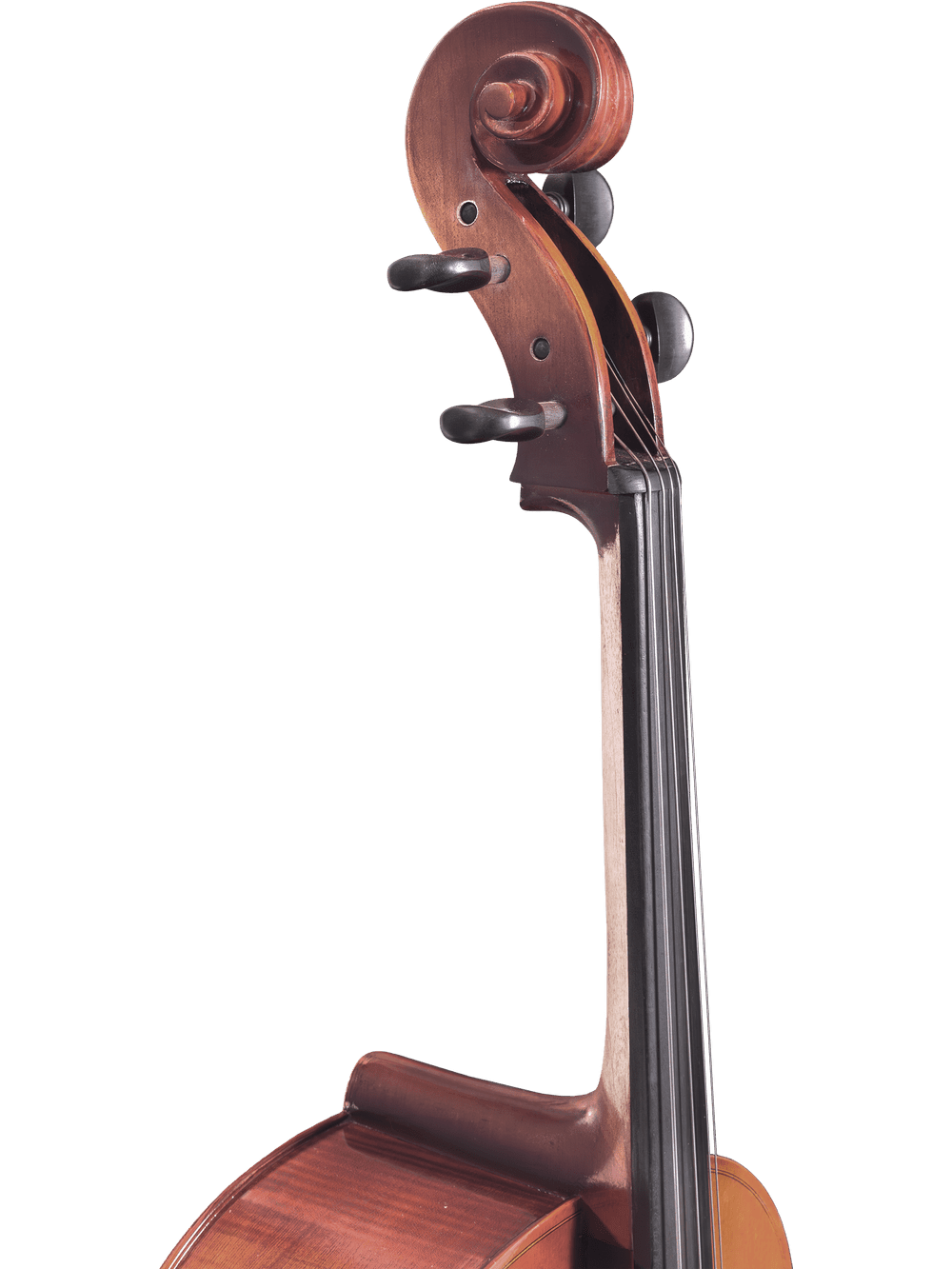 Cello Outfit – Canzona Allegro 100 - AAA Band Instrument Rentals
