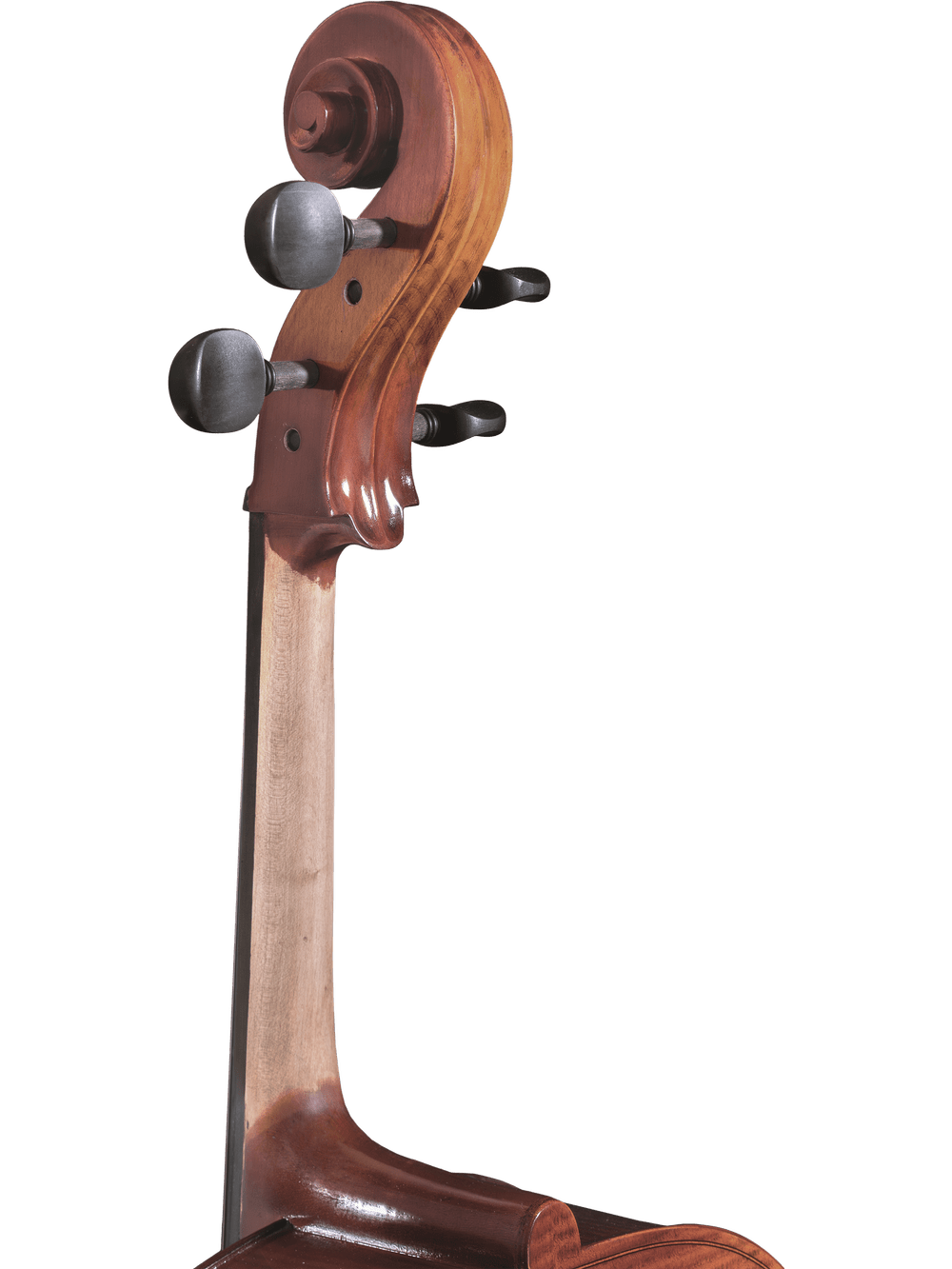 Cello Outfit – Canzona Allegro 100 - AAA Band Instrument Rentals
