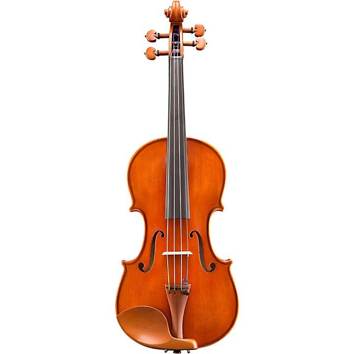 Eastman VL200 Violin Outfit image 1