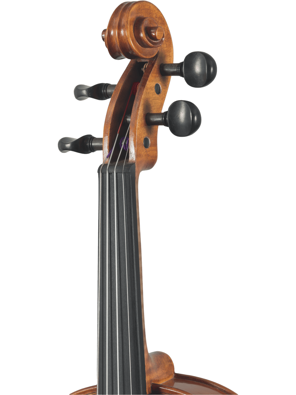 Intermediate Viola Outfit – Canzona Caprice 300 Series (Hand-Carved Spruce & Maple) - AAA Band Instrument Rentals