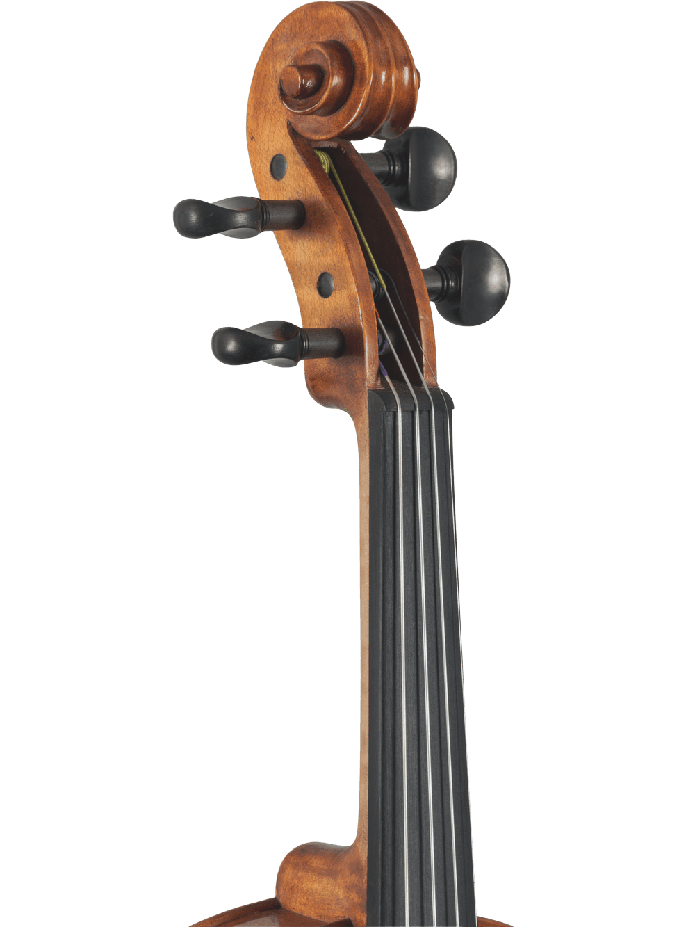 Intermediate Viola Outfit – Canzona Caprice 300 Series (Hand-Carved Spruce & Maple) - AAA Band Instrument Rentals